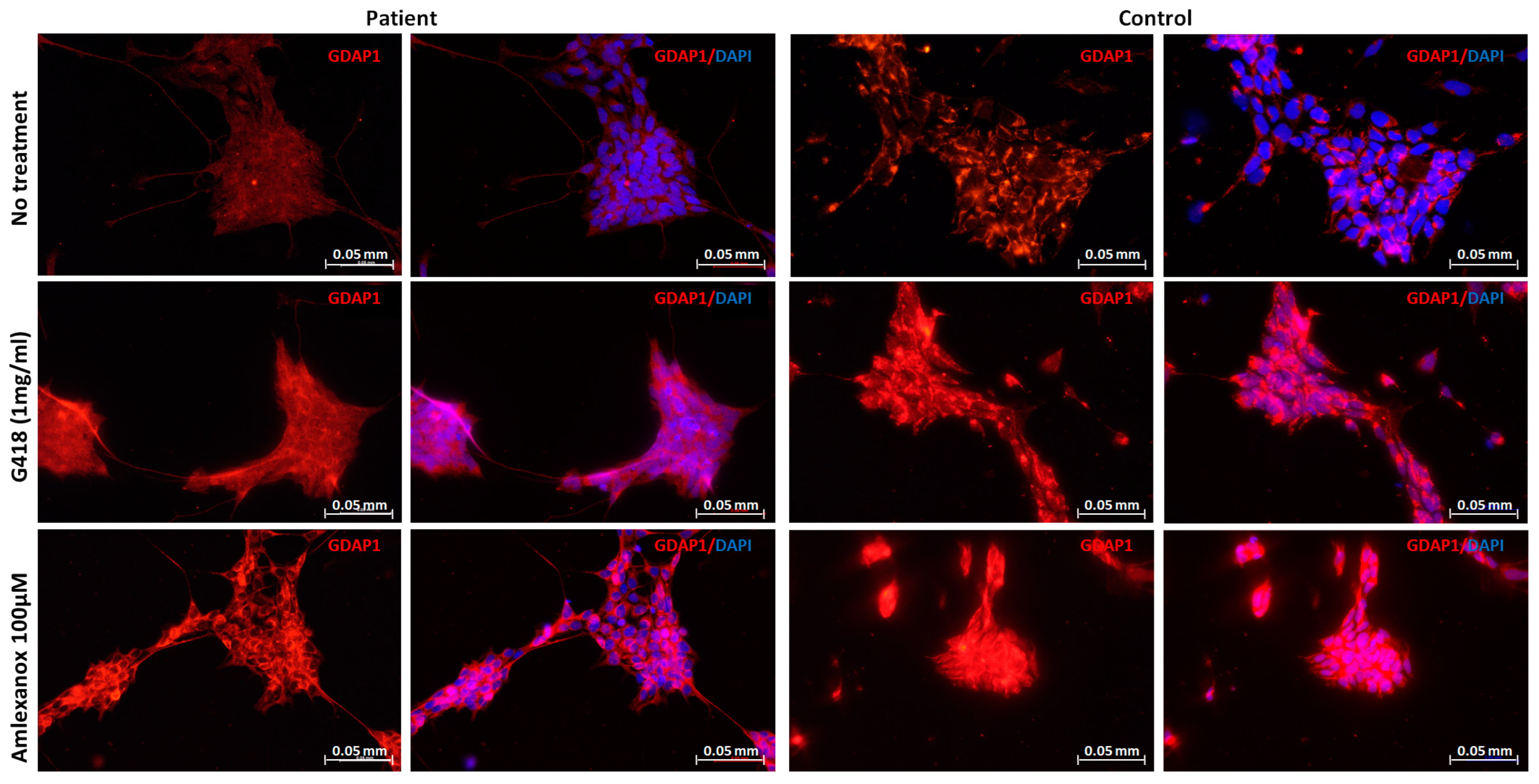 Pharmaceuticals 16 01034 g003