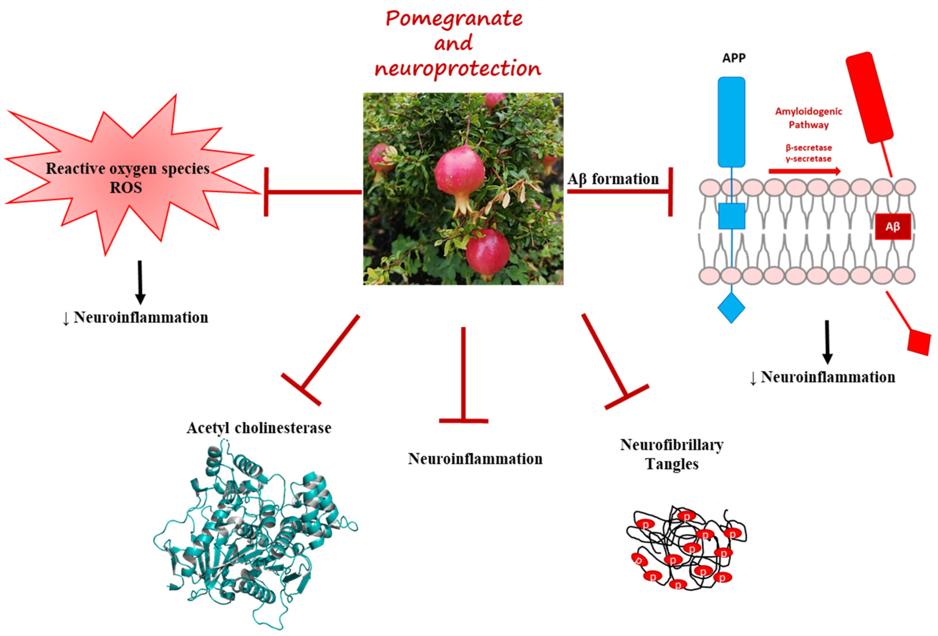 Pharmaceuticals 16 01036 g001