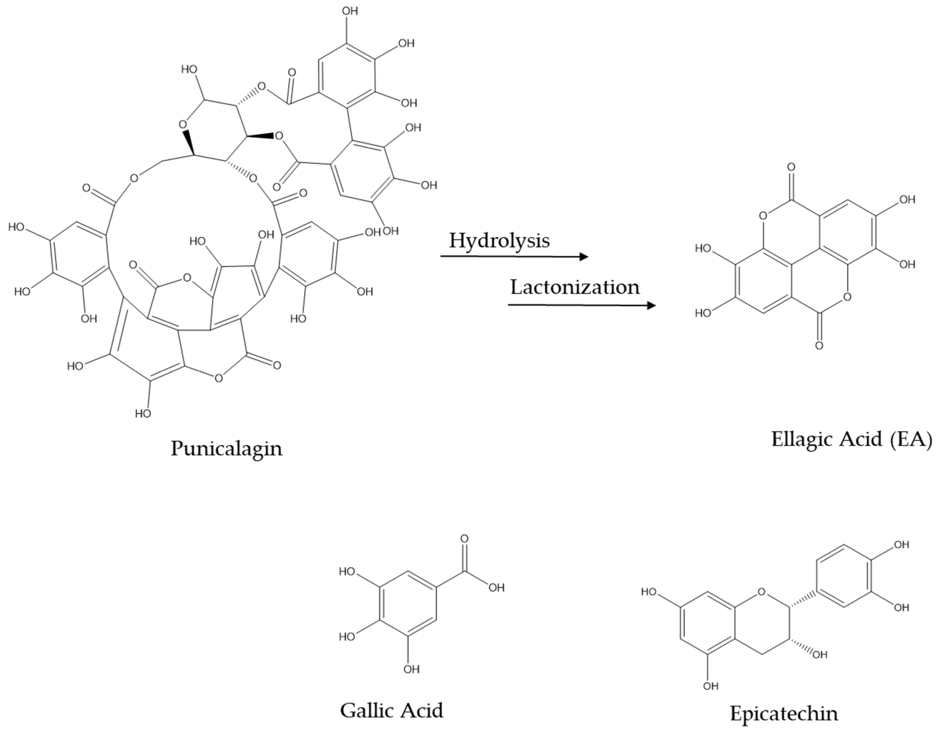 Pharmaceuticals 16 01036 g002