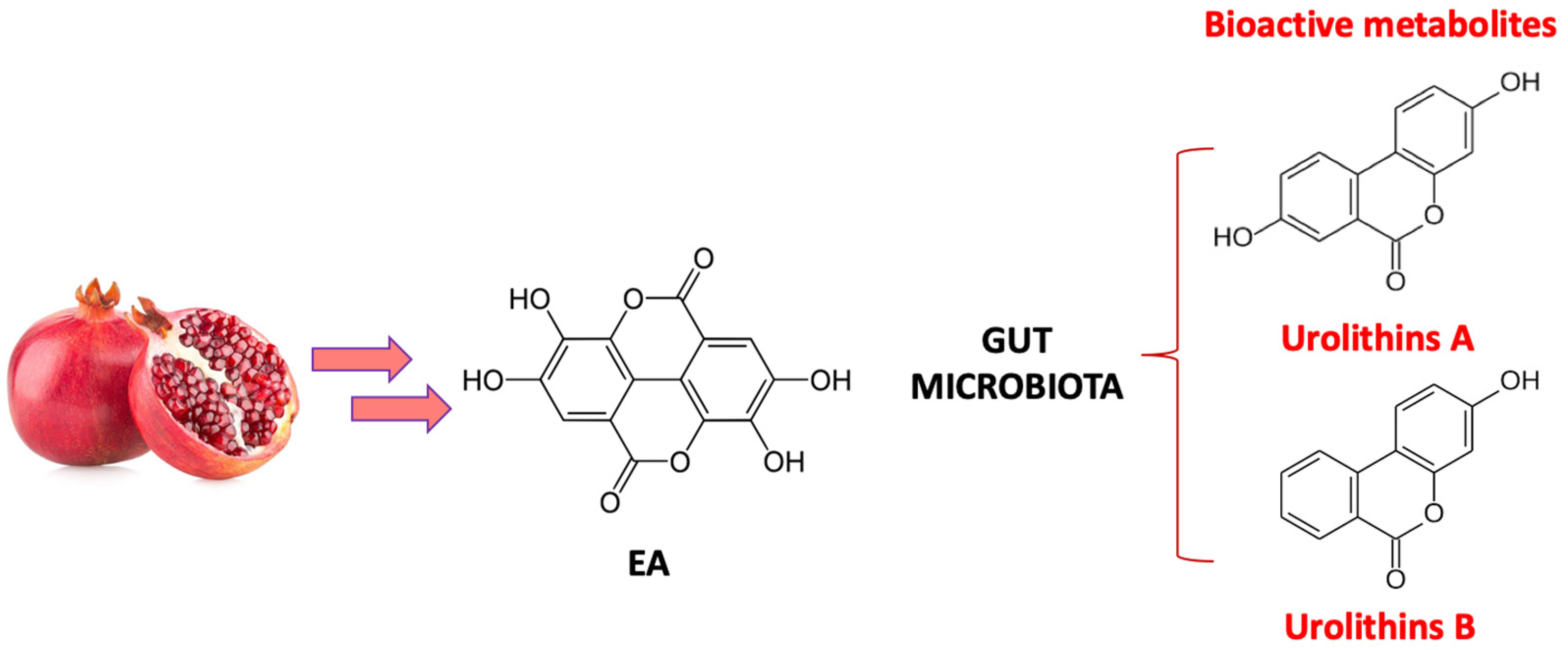 Pharmaceuticals 16 01036 g004