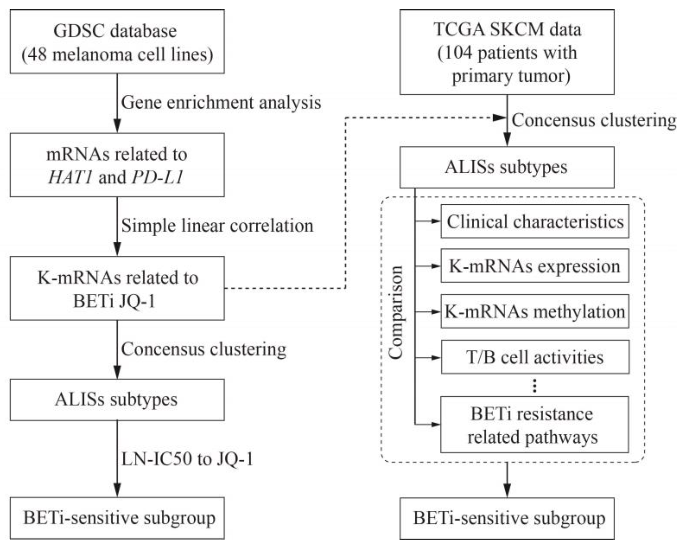 Pharmaceuticals 16 01037 g001 Pharmaceuticals 16 01037 g001
