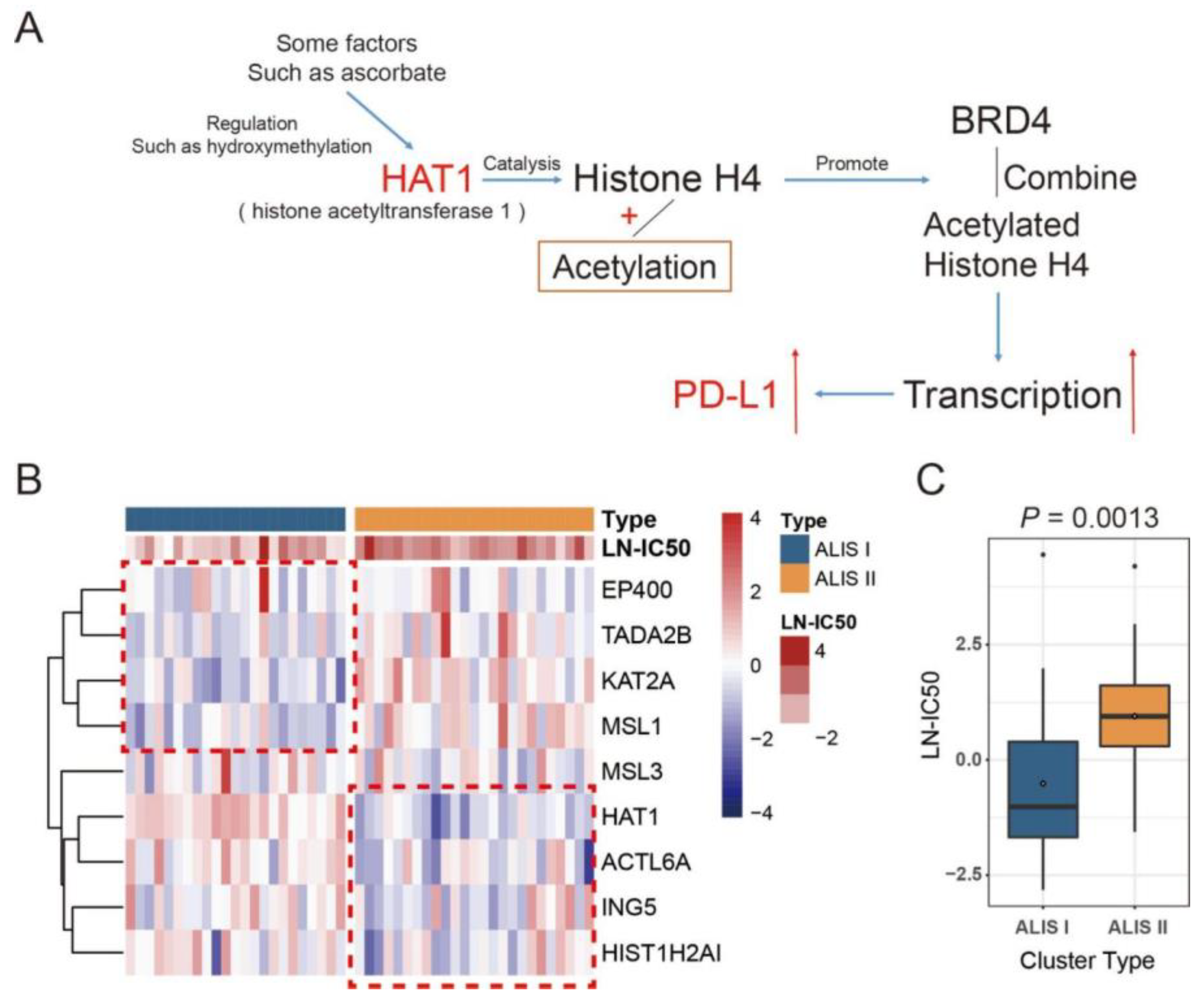 Pharmaceuticals 16 01037 g002 Pharmaceuticals 16 01037 g002