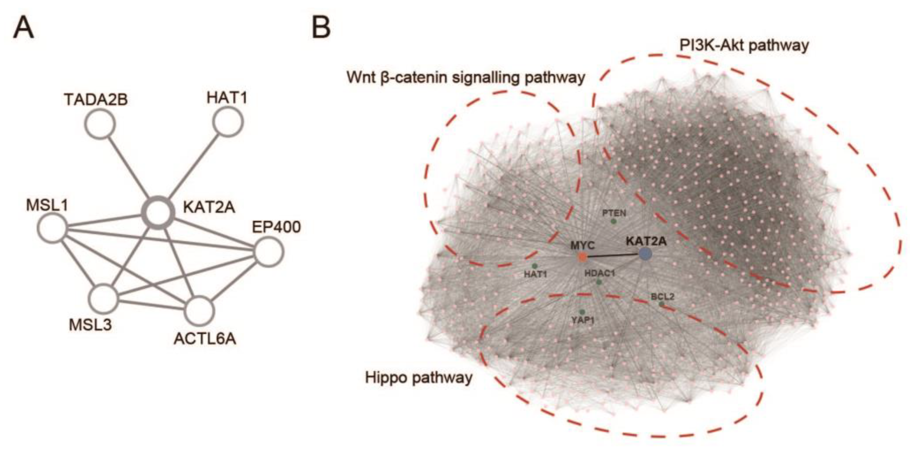 Pharmaceuticals 16 01037 g005 Pharmaceuticals 16 01037 g005