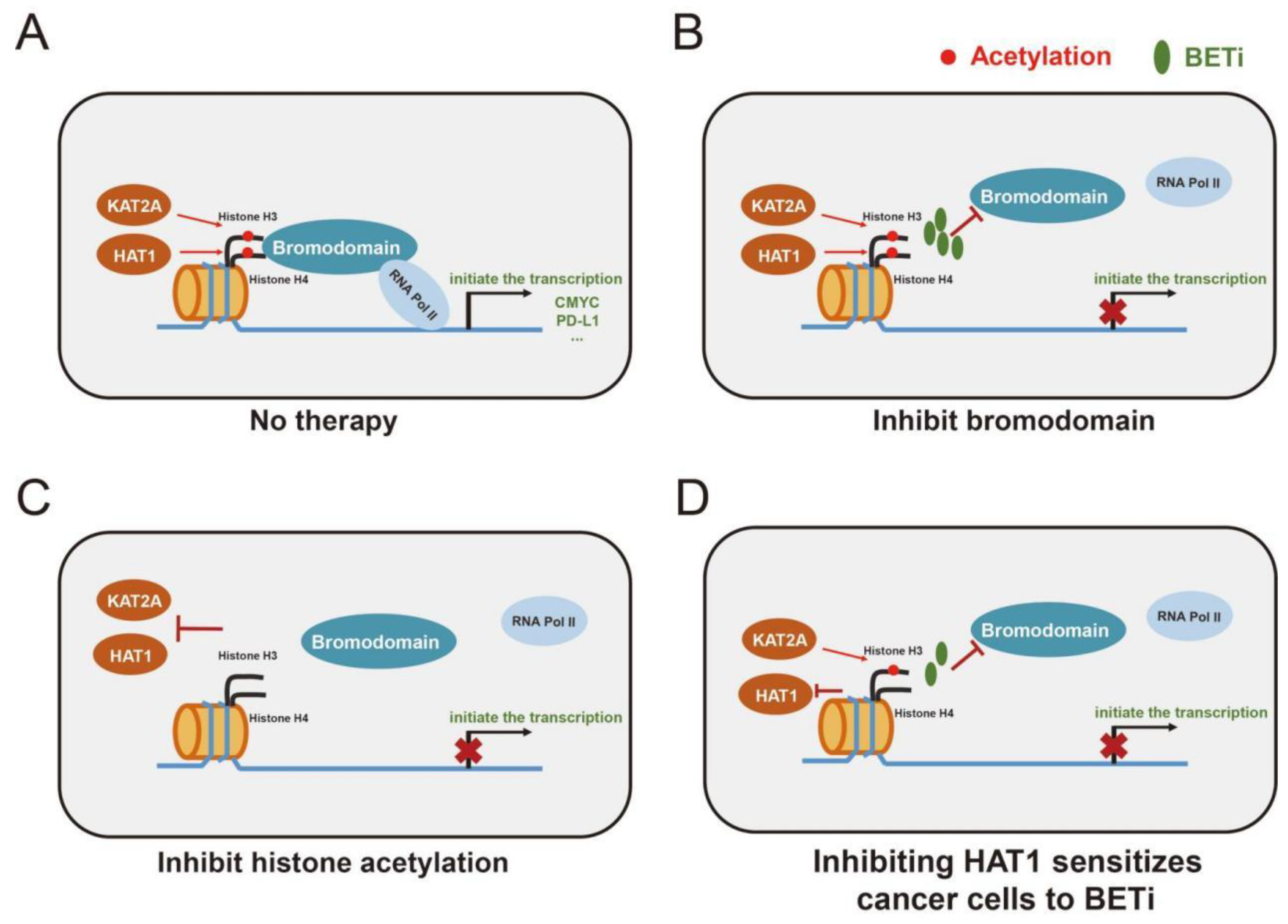 Pharmaceuticals 16 01037 g006 Pharmaceuticals 16 01037 g006