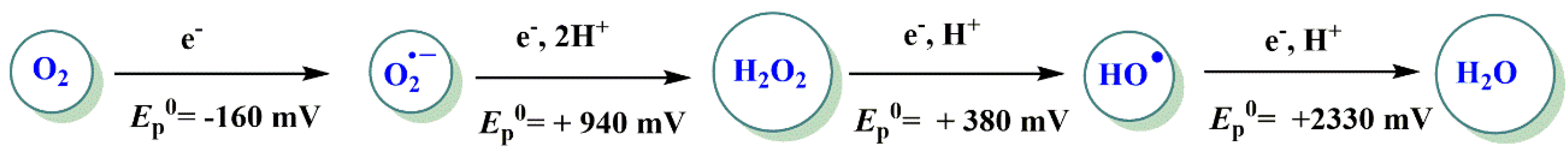 Pharmaceuticals 16 01038 g002 Pharmaceuticals 16 01038 g002