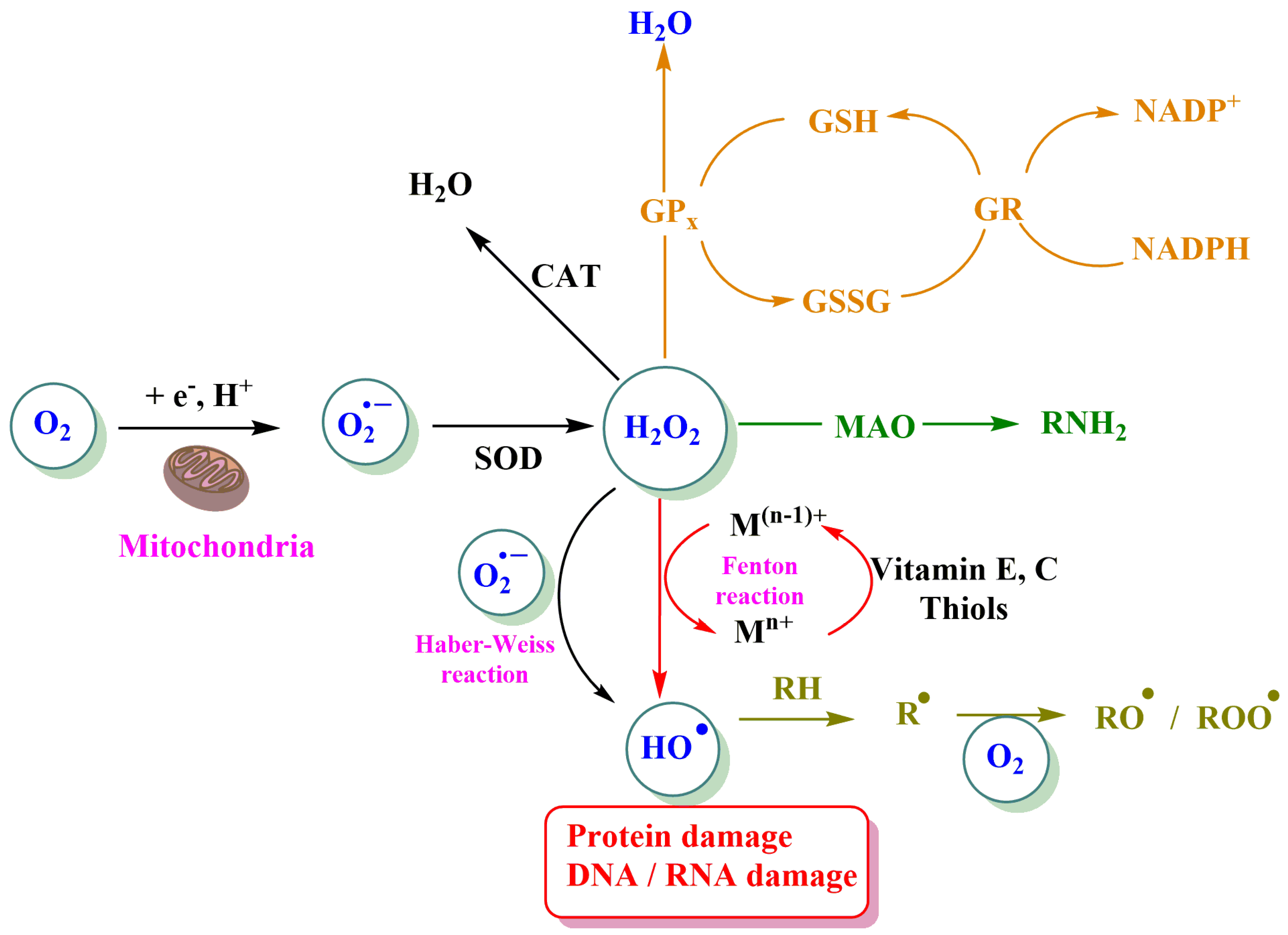 Pharmaceuticals 16 01038 g003 Pharmaceuticals 16 01038 g003