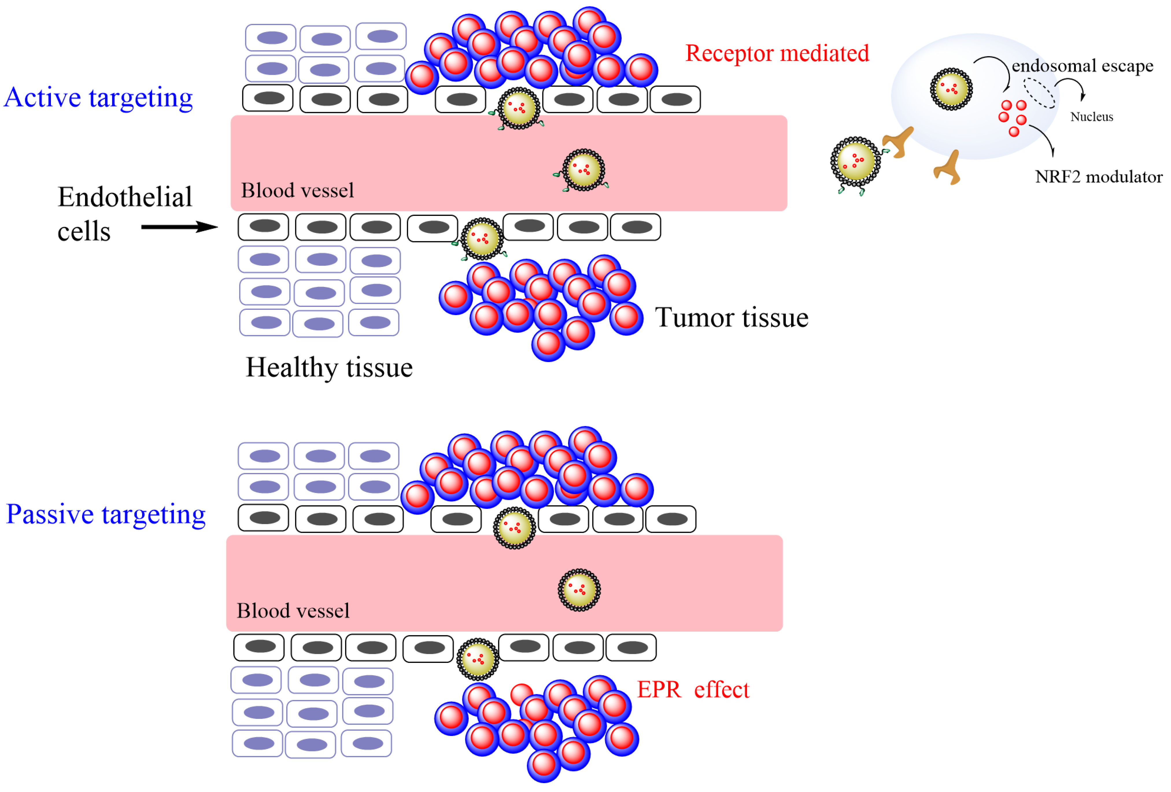 Pharmaceuticals 16 01038 g004 Pharmaceuticals 16 01038 g004