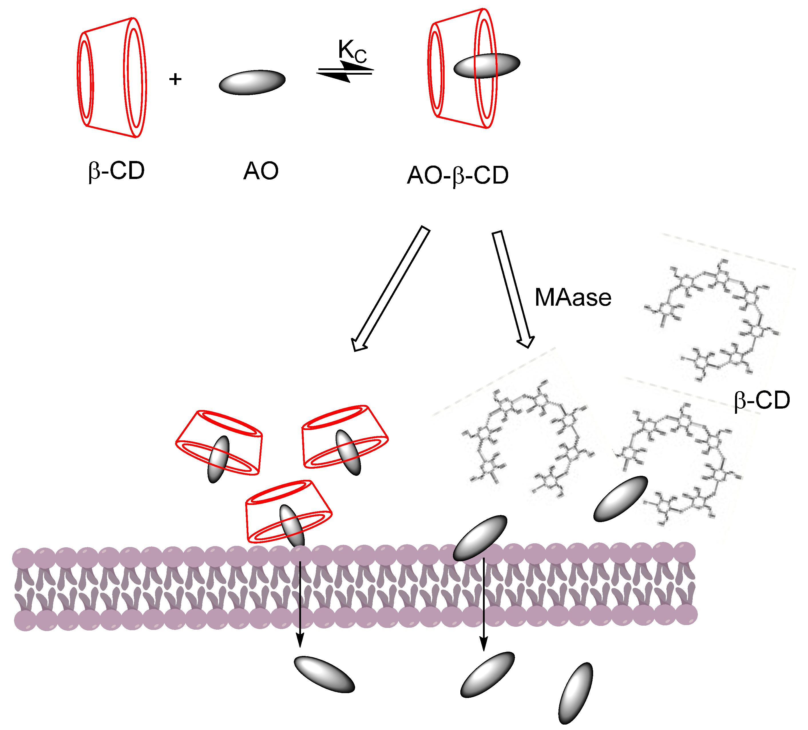 Pharmaceuticals 16 01038 g009 Pharmaceuticals 16 01038 g009