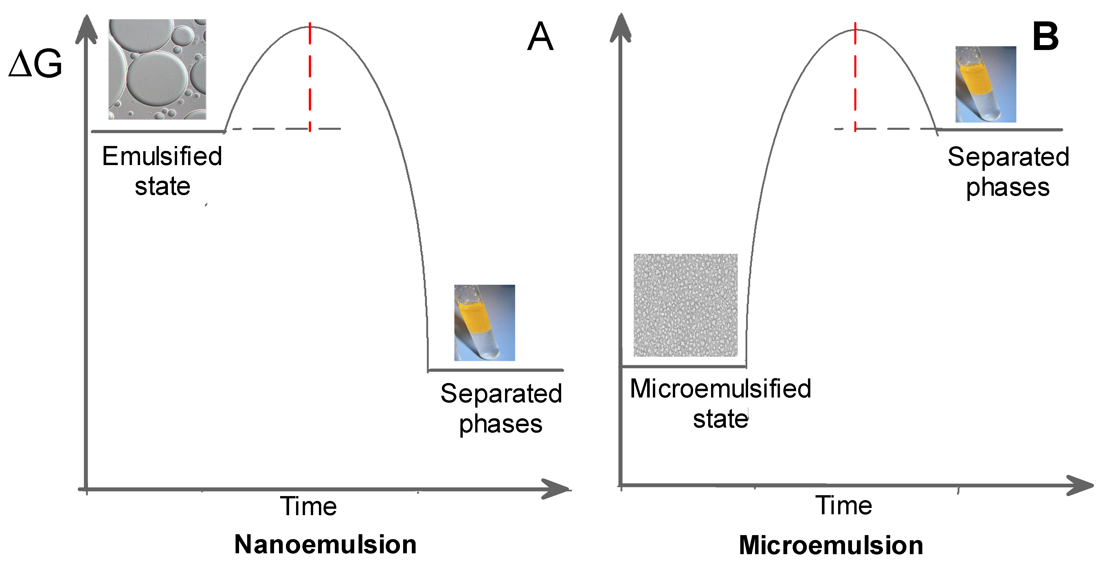 Pharmaceuticals 16 01038 g010 Pharmaceuticals 16 01038 g010