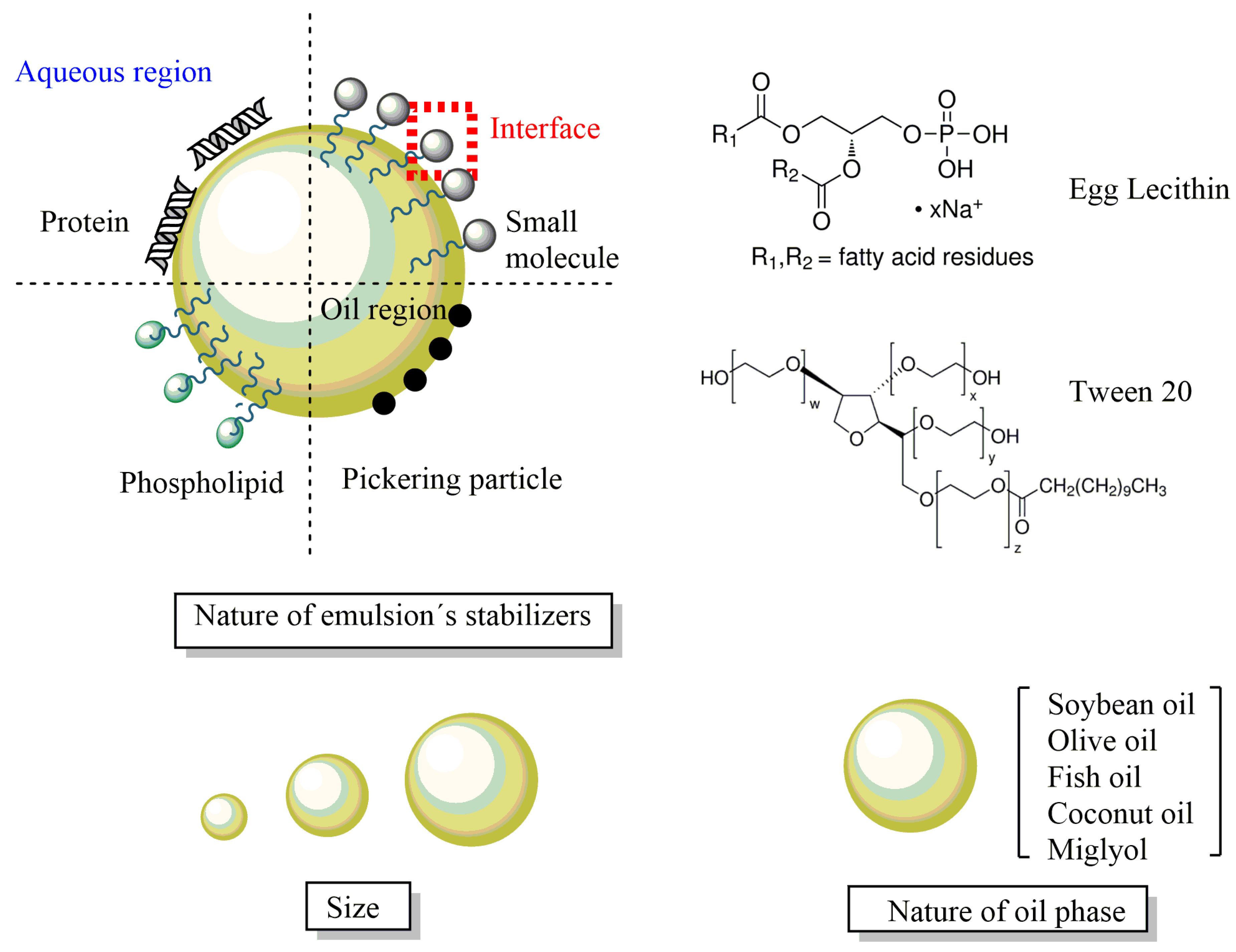 Pharmaceuticals 16 01038 g011 Pharmaceuticals 16 01038 g011