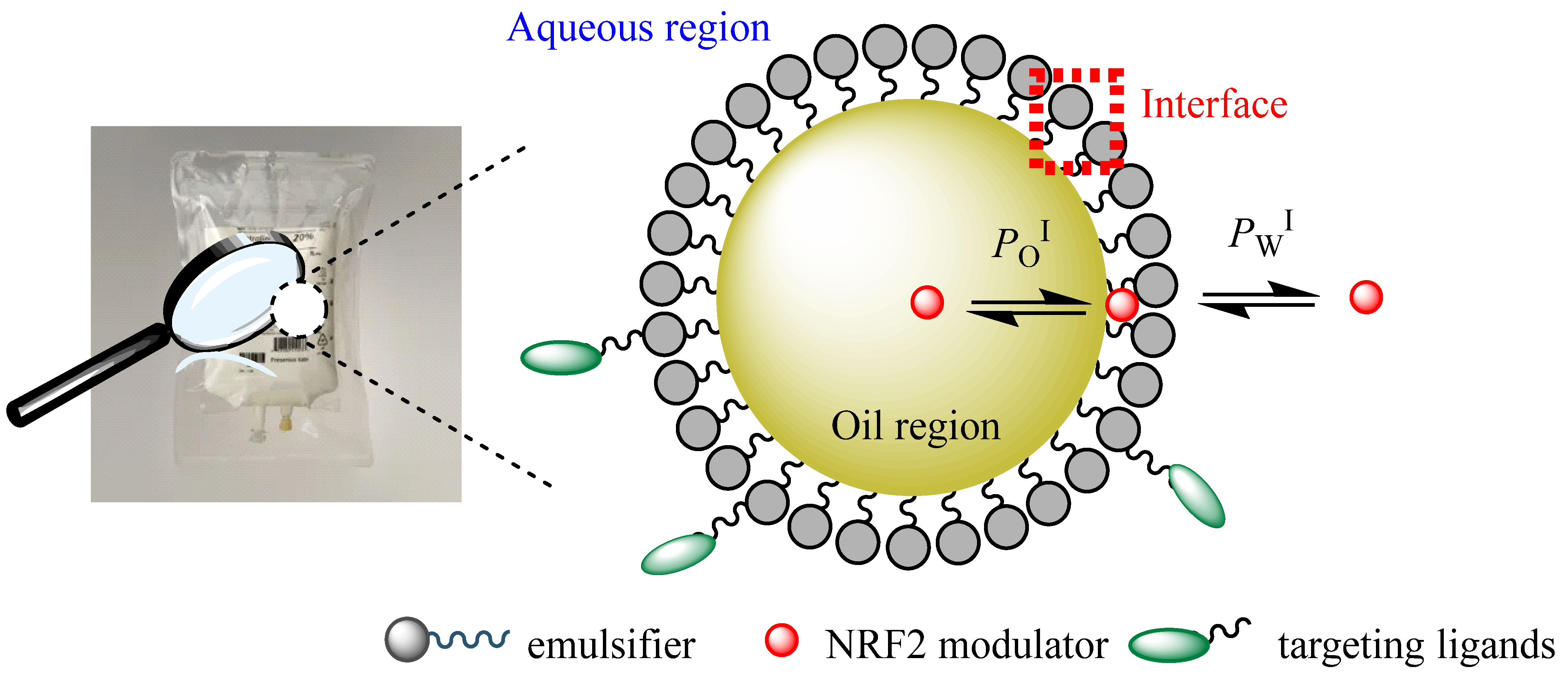 Pharmaceuticals 16 01038 g012 Pharmaceuticals 16 01038 g012