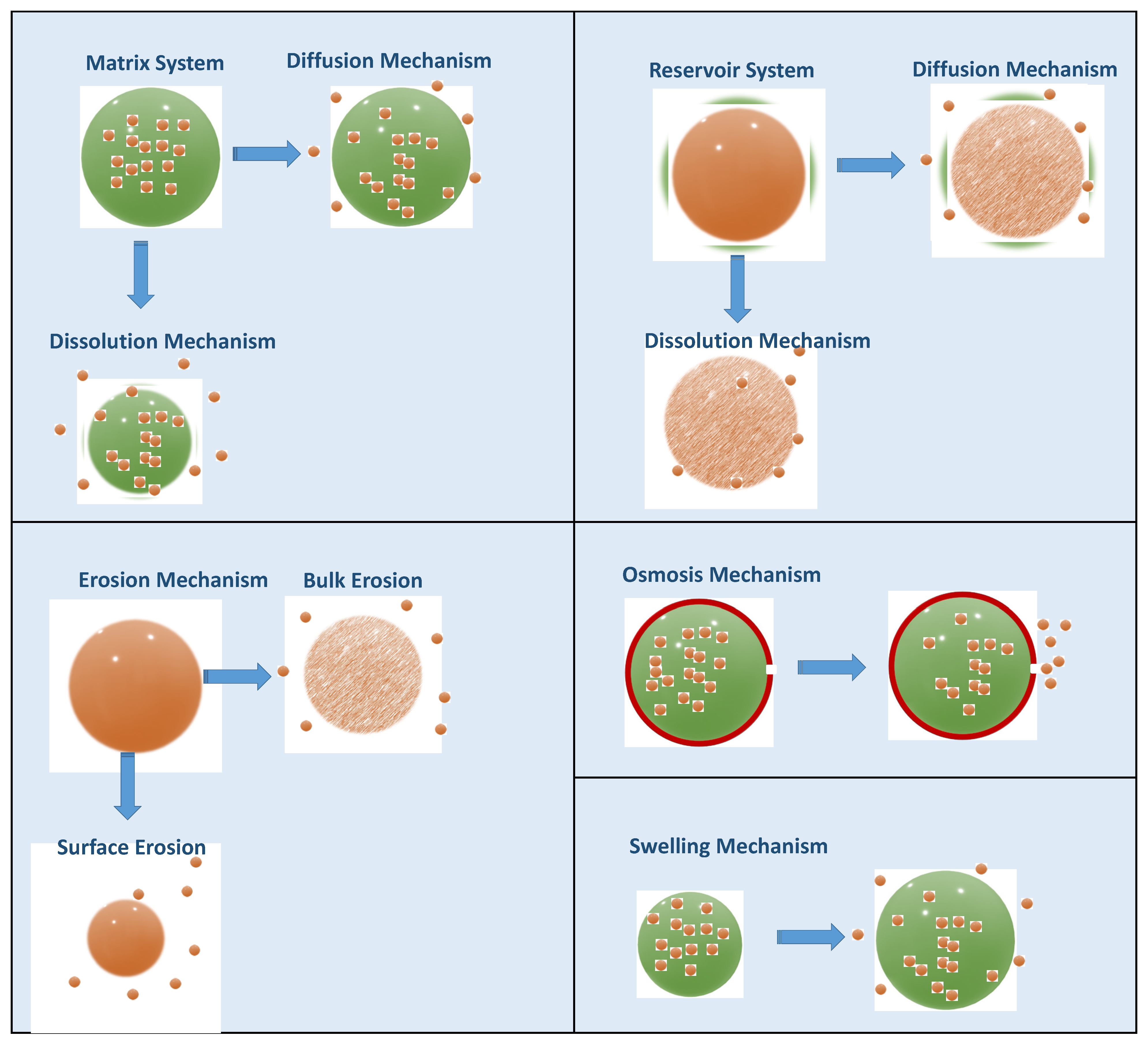 Pharmaceuticals 16 01038 g016 Pharmaceuticals 16 01038 g016