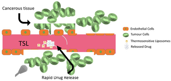 Innovative Delivery and Release Systems for Antioxidants and Other