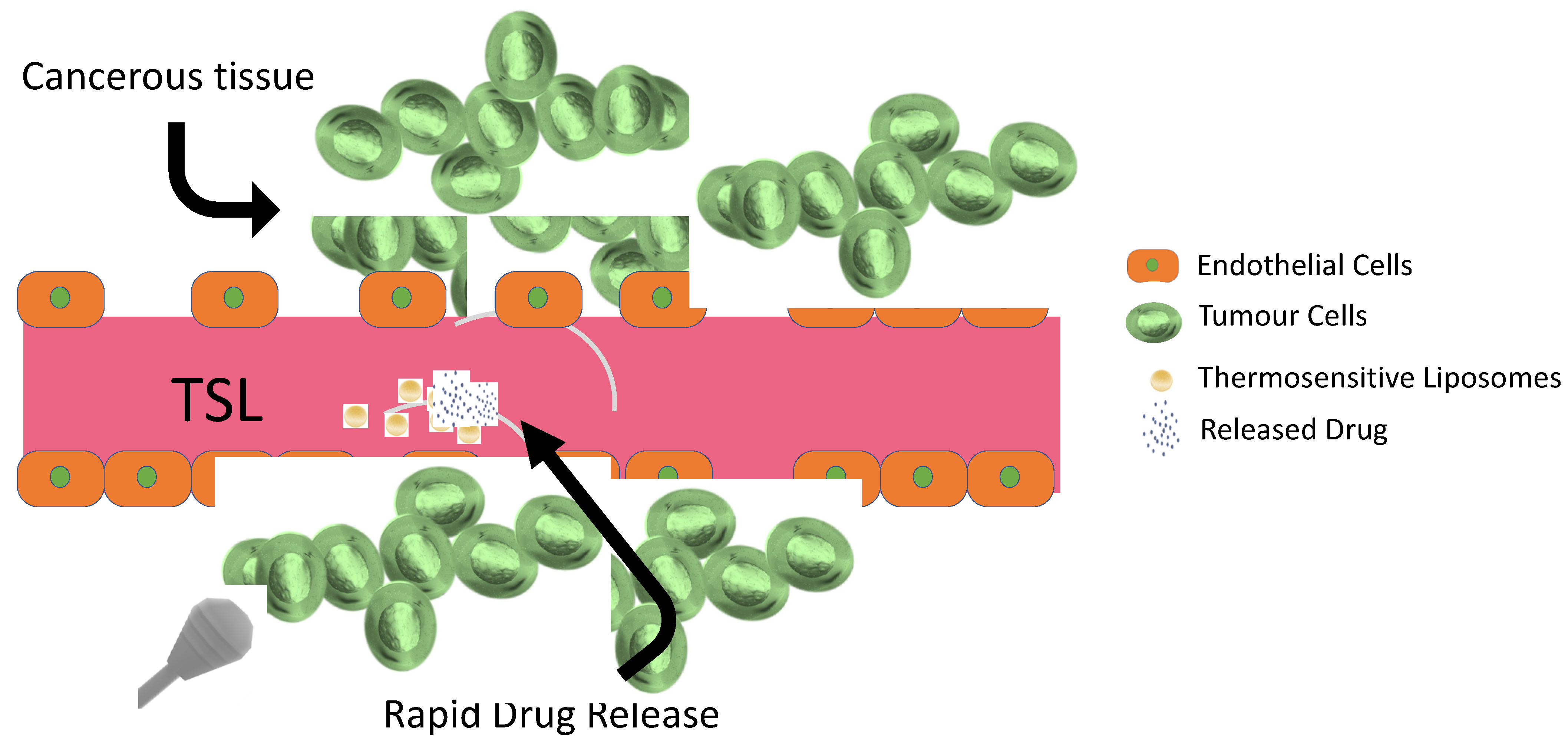 Pharmaceuticals 16 01038 g017 Pharmaceuticals 16 01038 g017