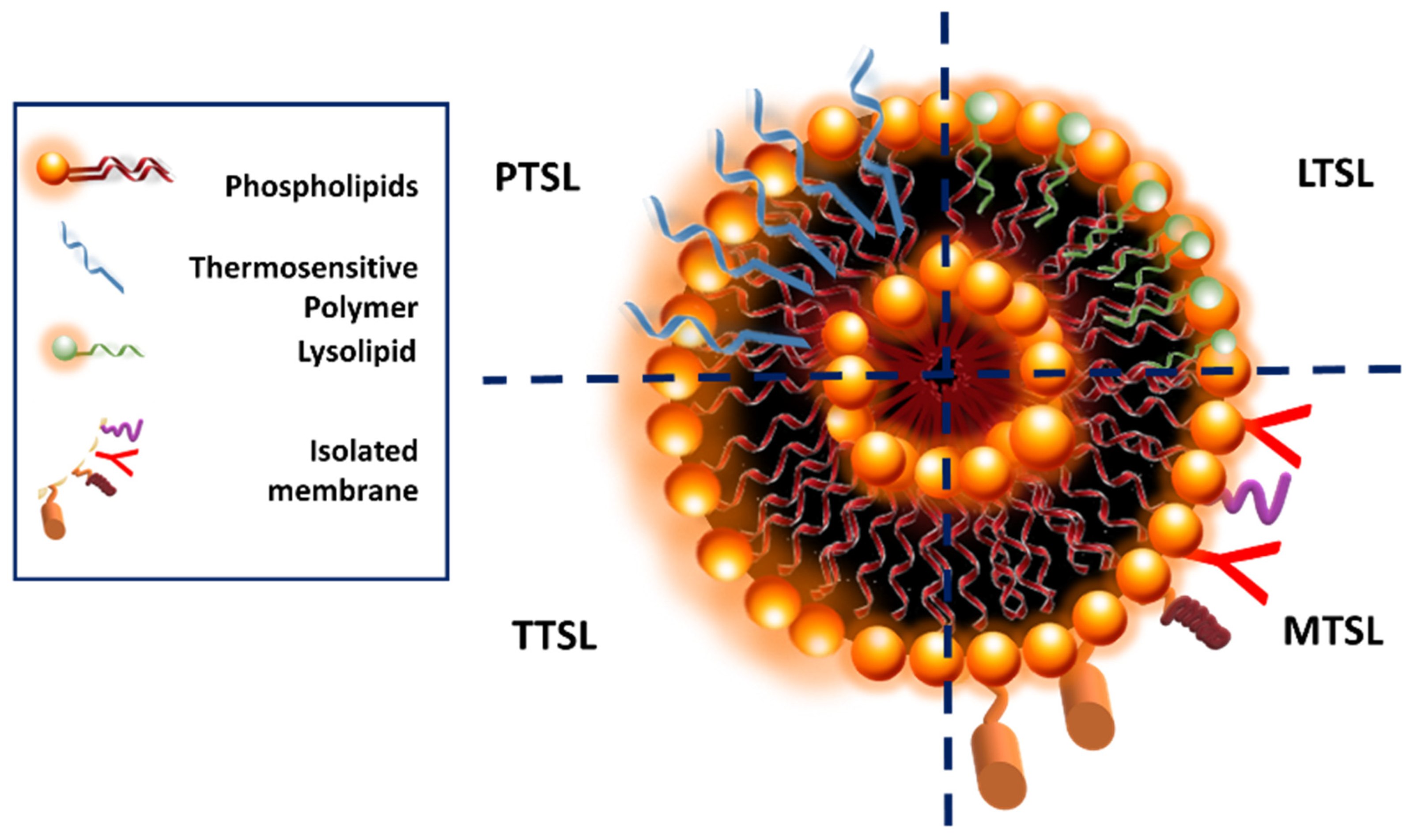 Pharmaceuticals 16 01038 g018 Pharmaceuticals 16 01038 g018