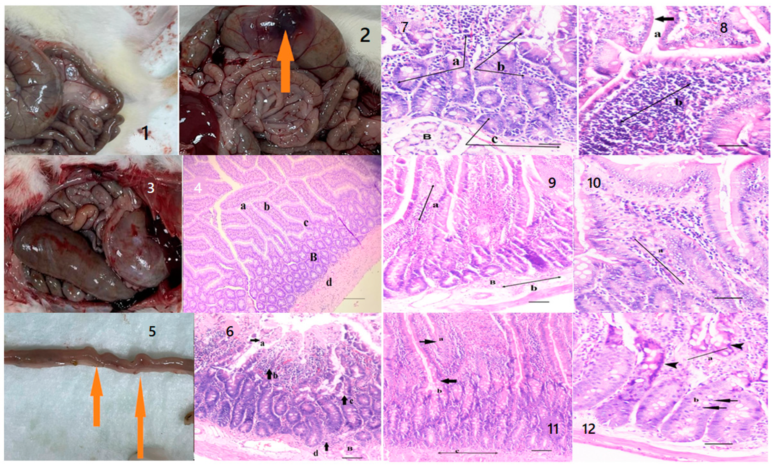 Pharmaceuticals 16 01041 g008