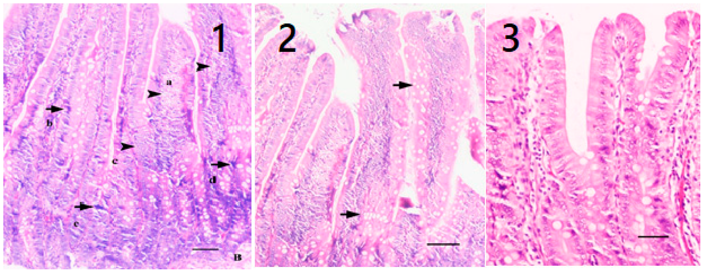 Pharmaceuticals 16 01041 g009