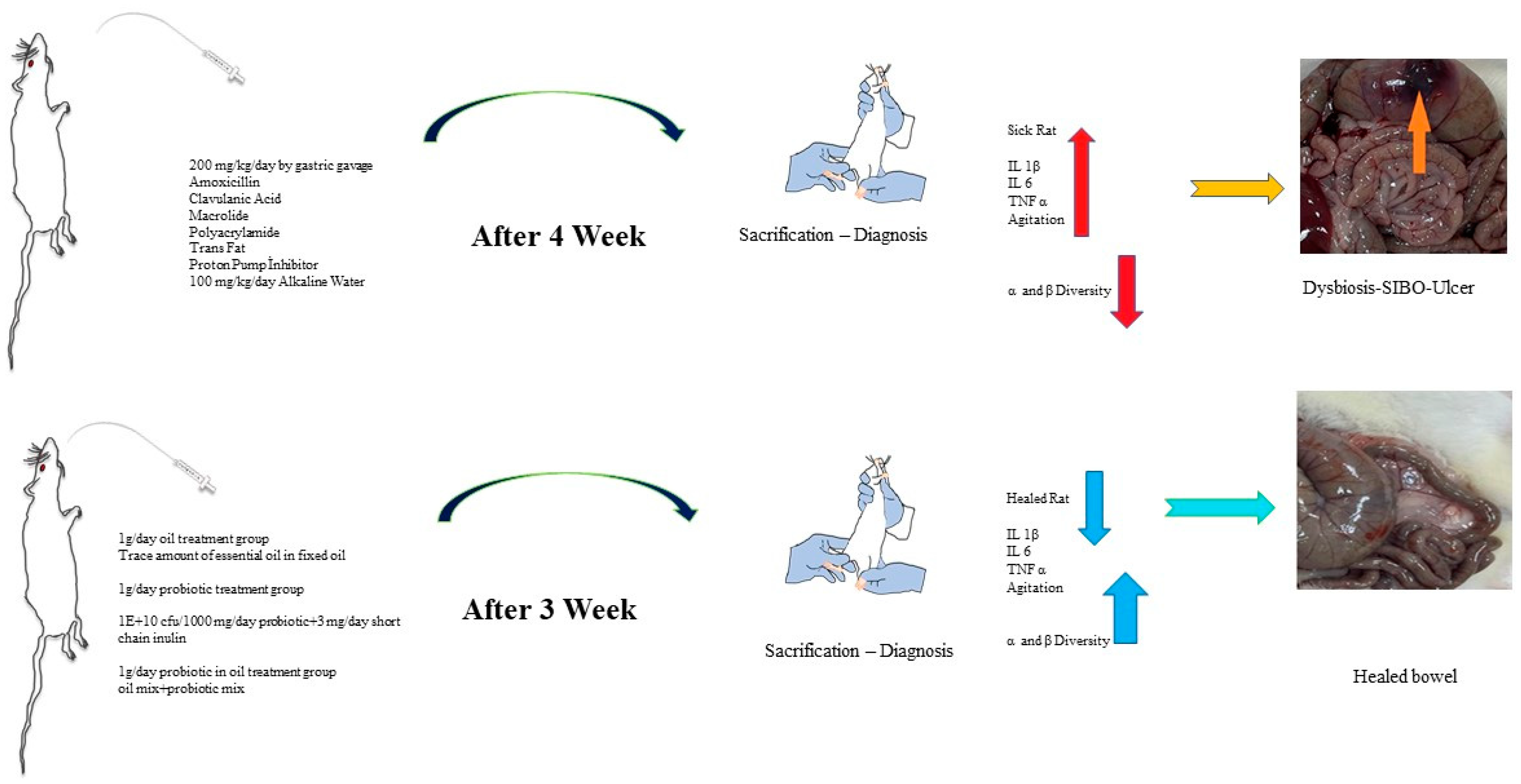 Pharmaceuticals 16 01041 g010