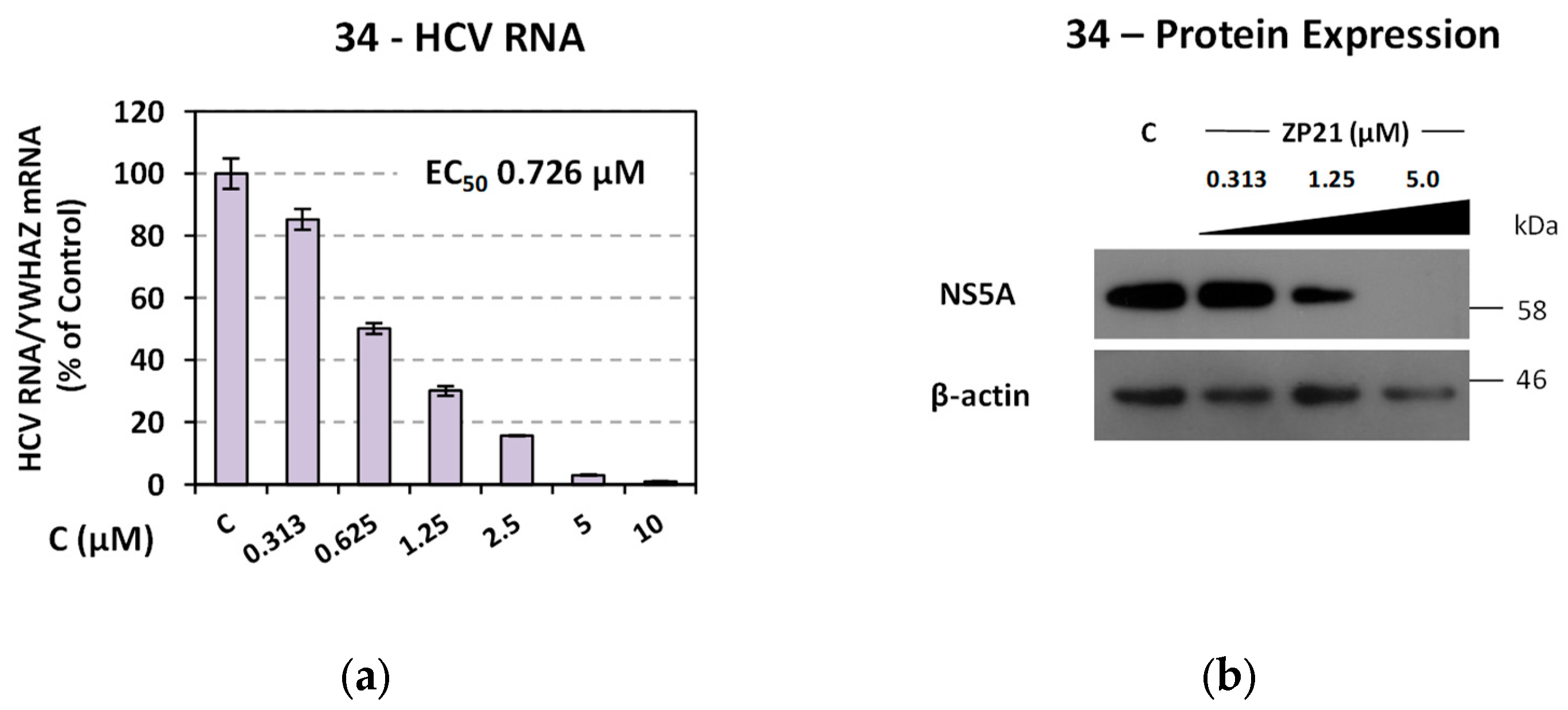 Pharmaceuticals 16 01046 g004