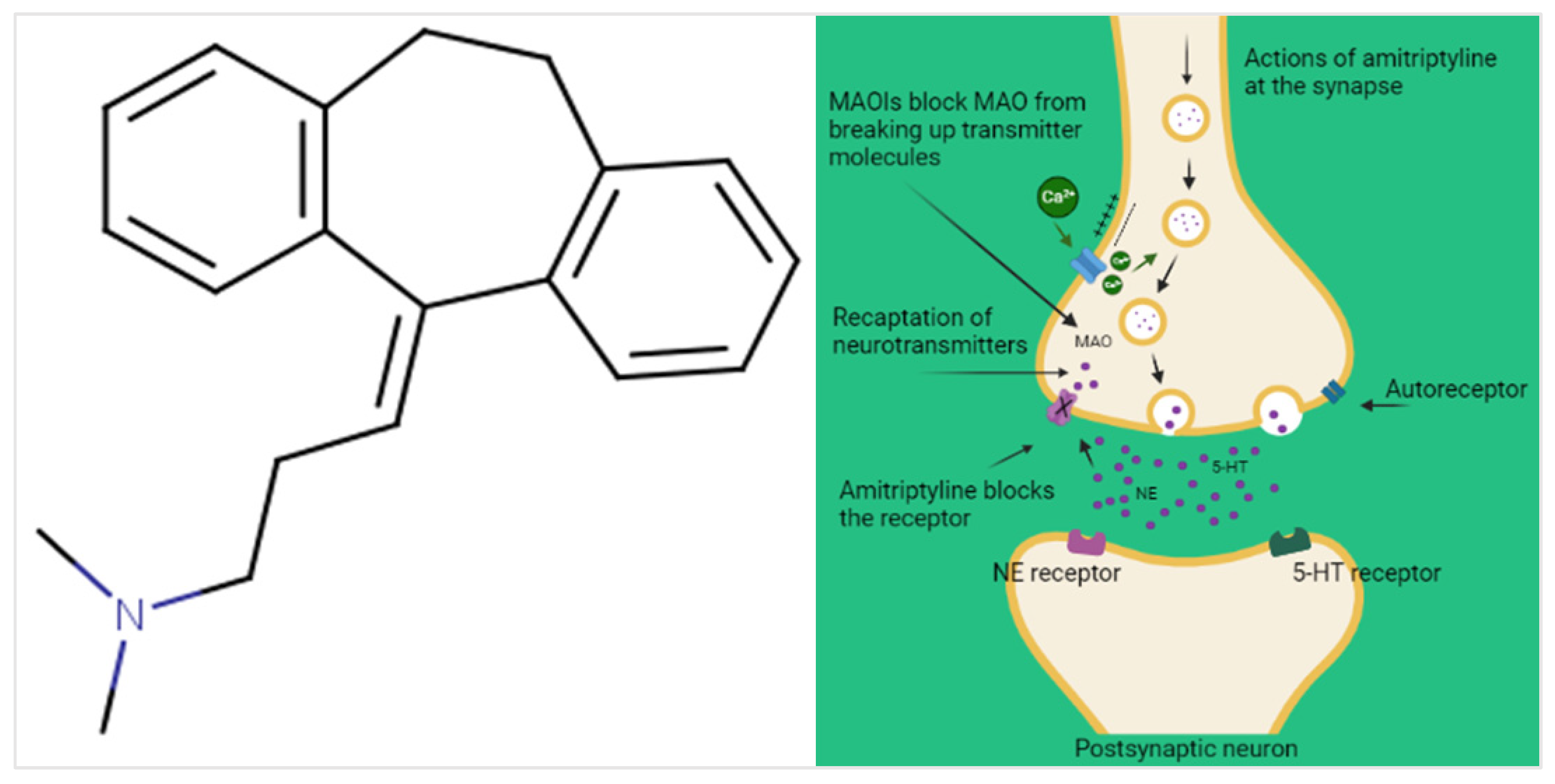 Pharmaceuticals 16 01047 g001