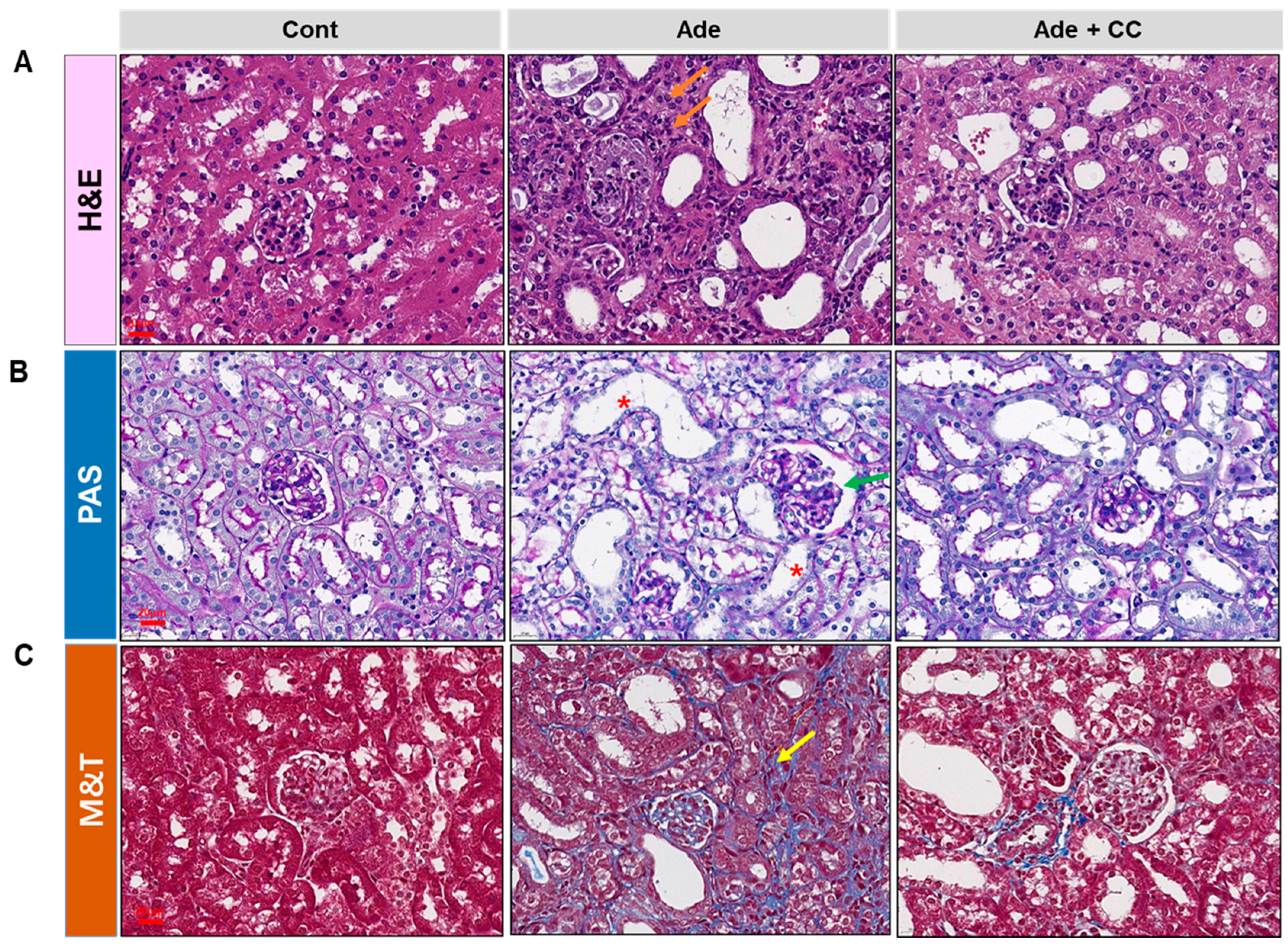 Pharmaceuticals 16 01048 g003a