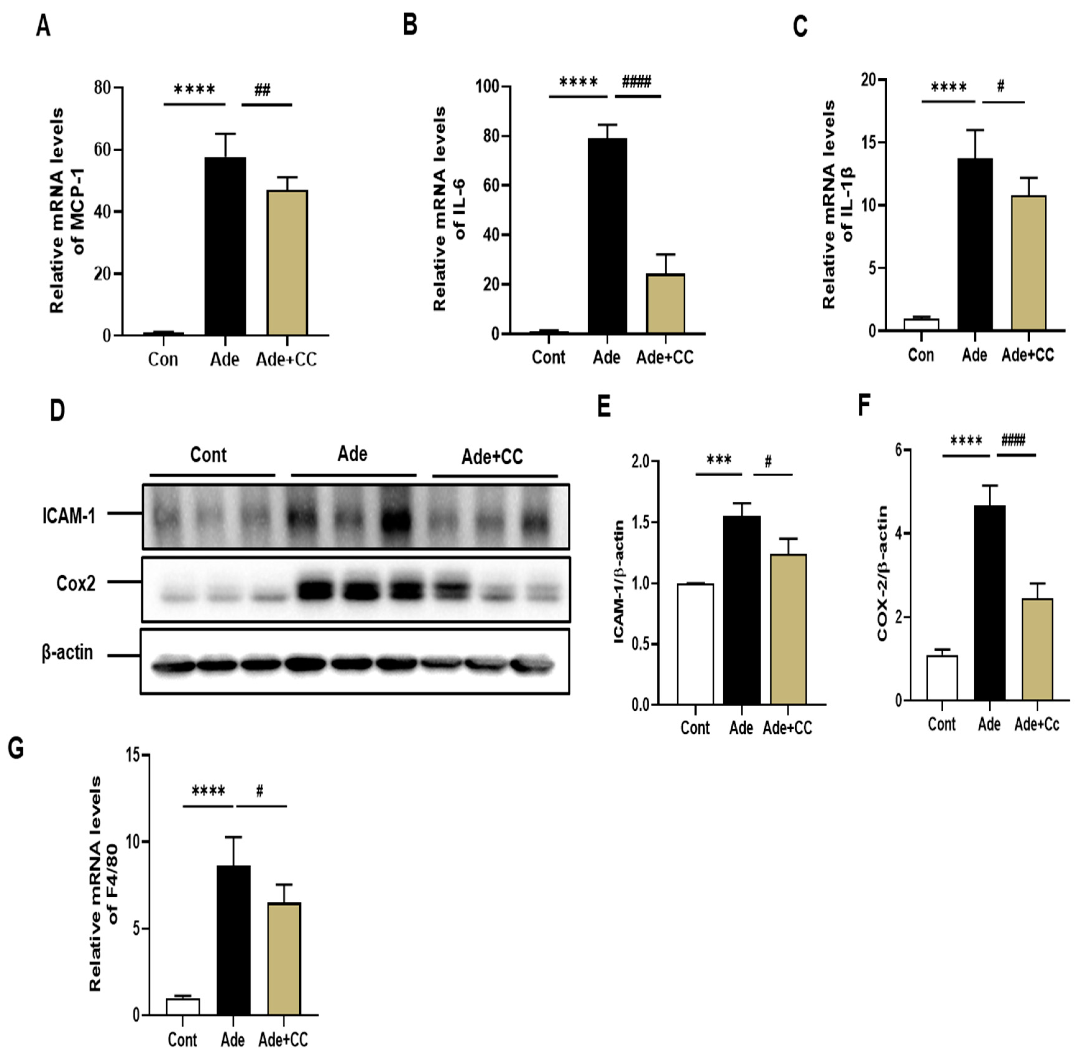 Pharmaceuticals 16 01048 g004