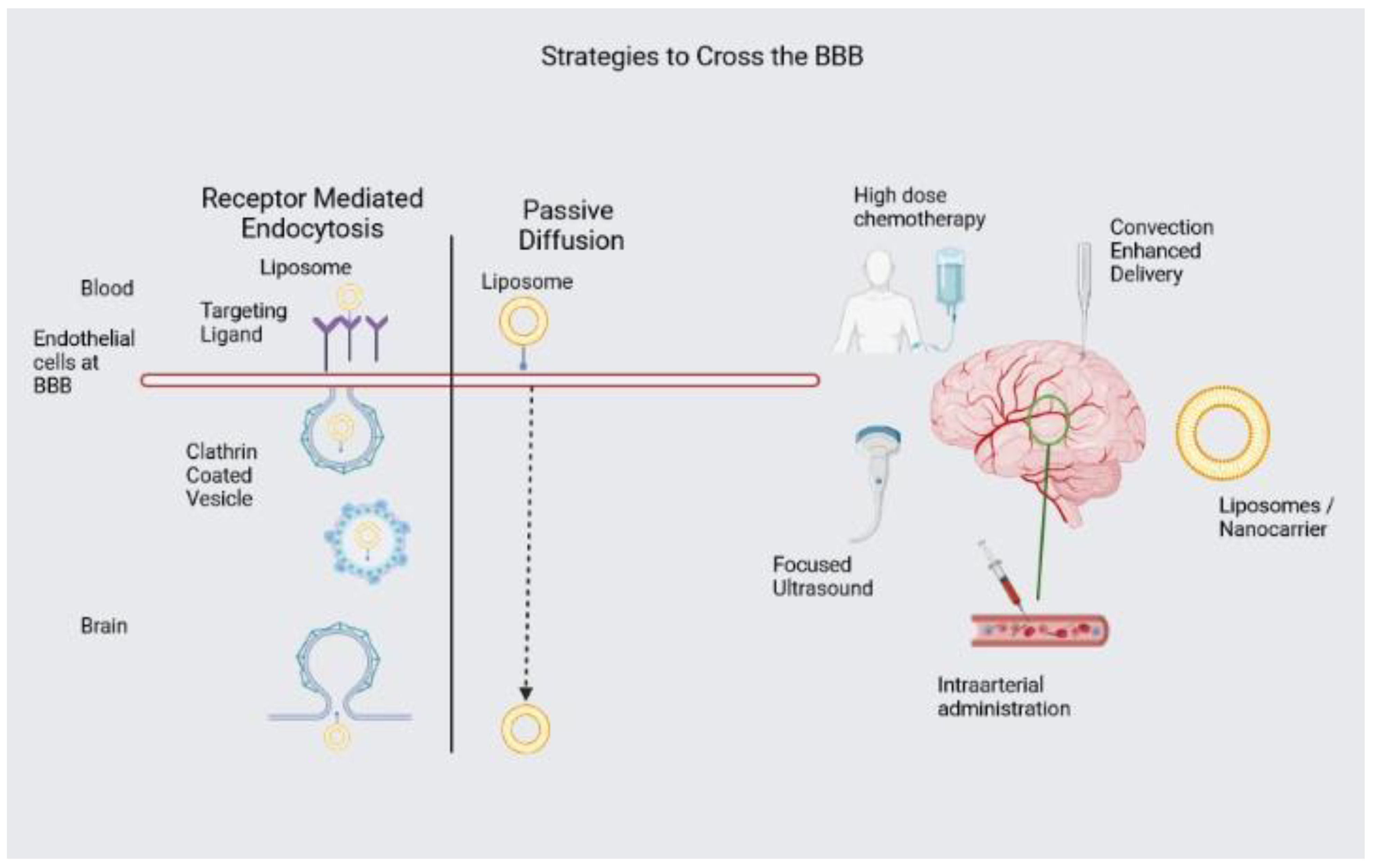 Pharmaceuticals 16 01056 g002