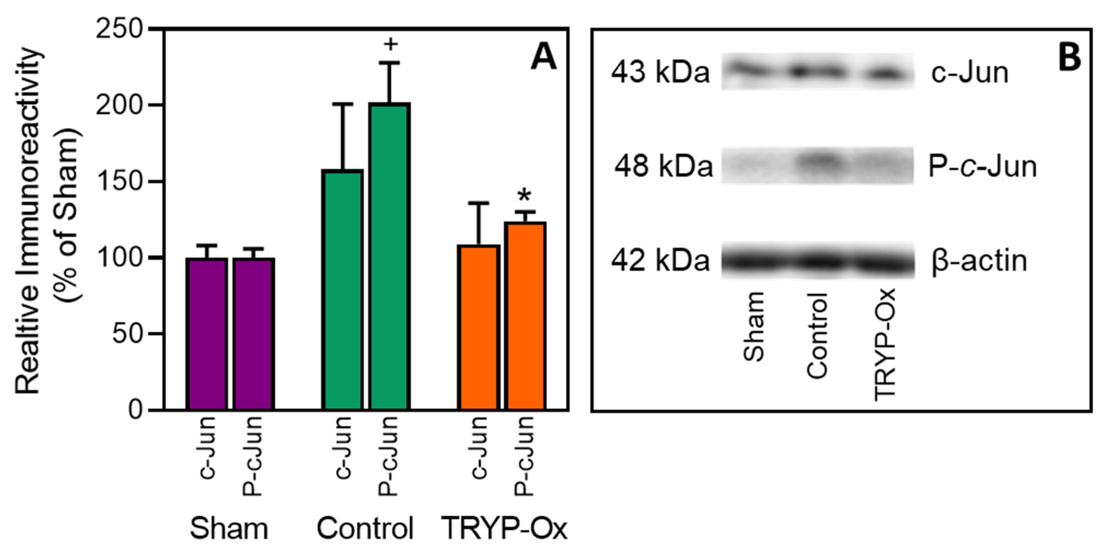 Pharmaceuticals 16 01057 g003