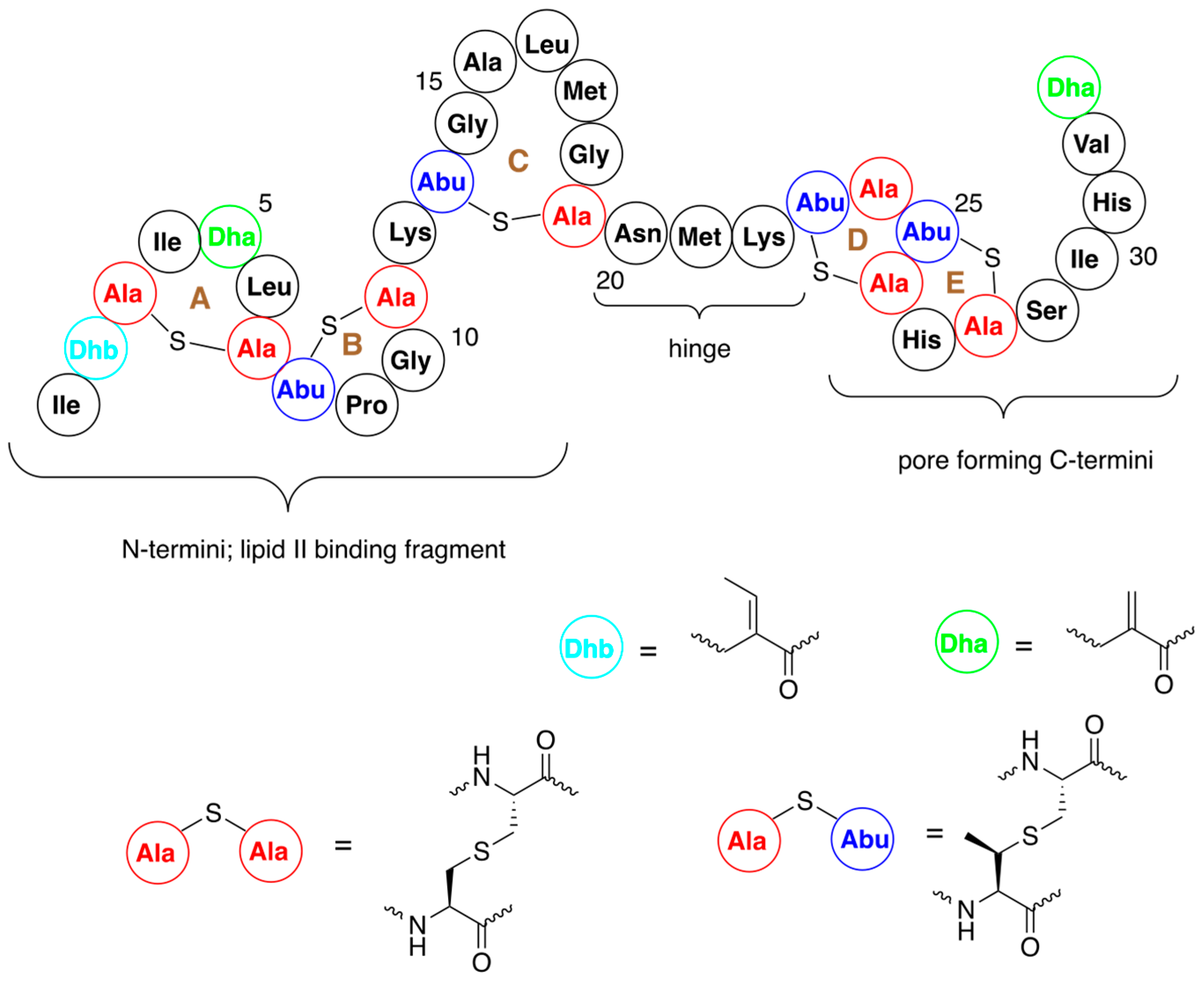 Pharmaceuticals 16 01058 g001 Pharmaceuticals 16 01058 g001