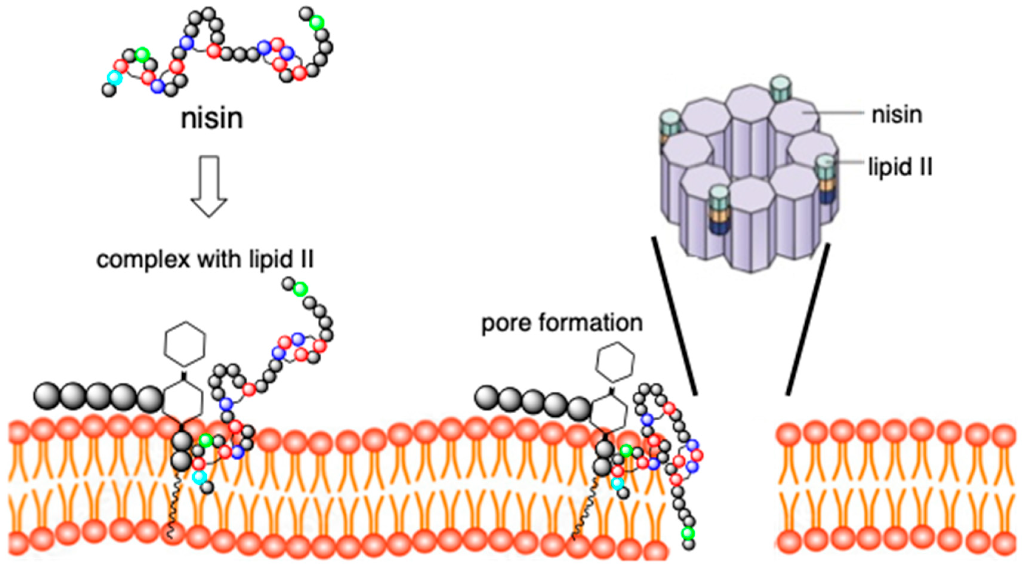 Pharmaceuticals 16 01058 g002 Pharmaceuticals 16 01058 g002
