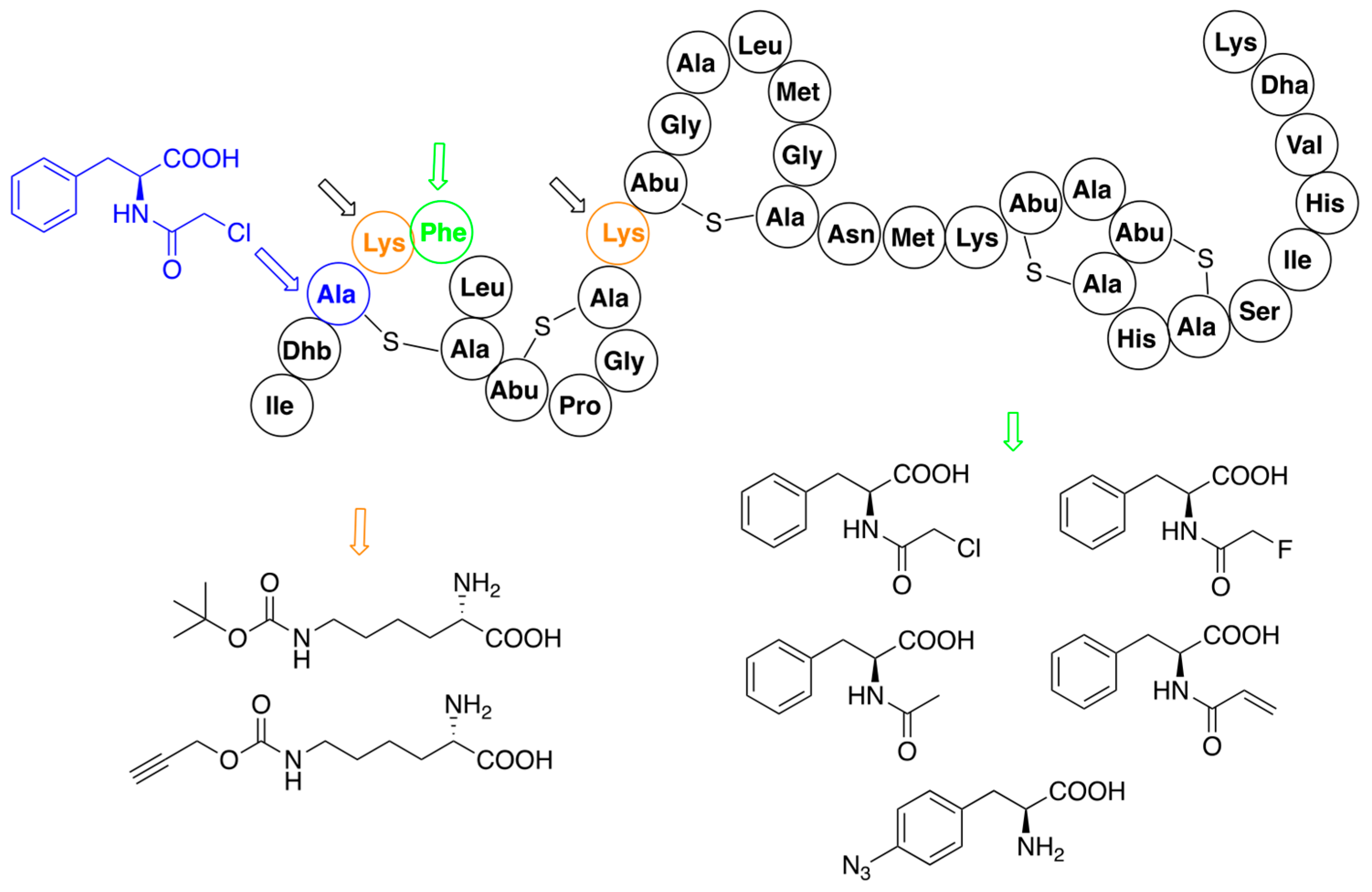 Pharmaceuticals 16 01058 g004 Pharmaceuticals 16 01058 g004