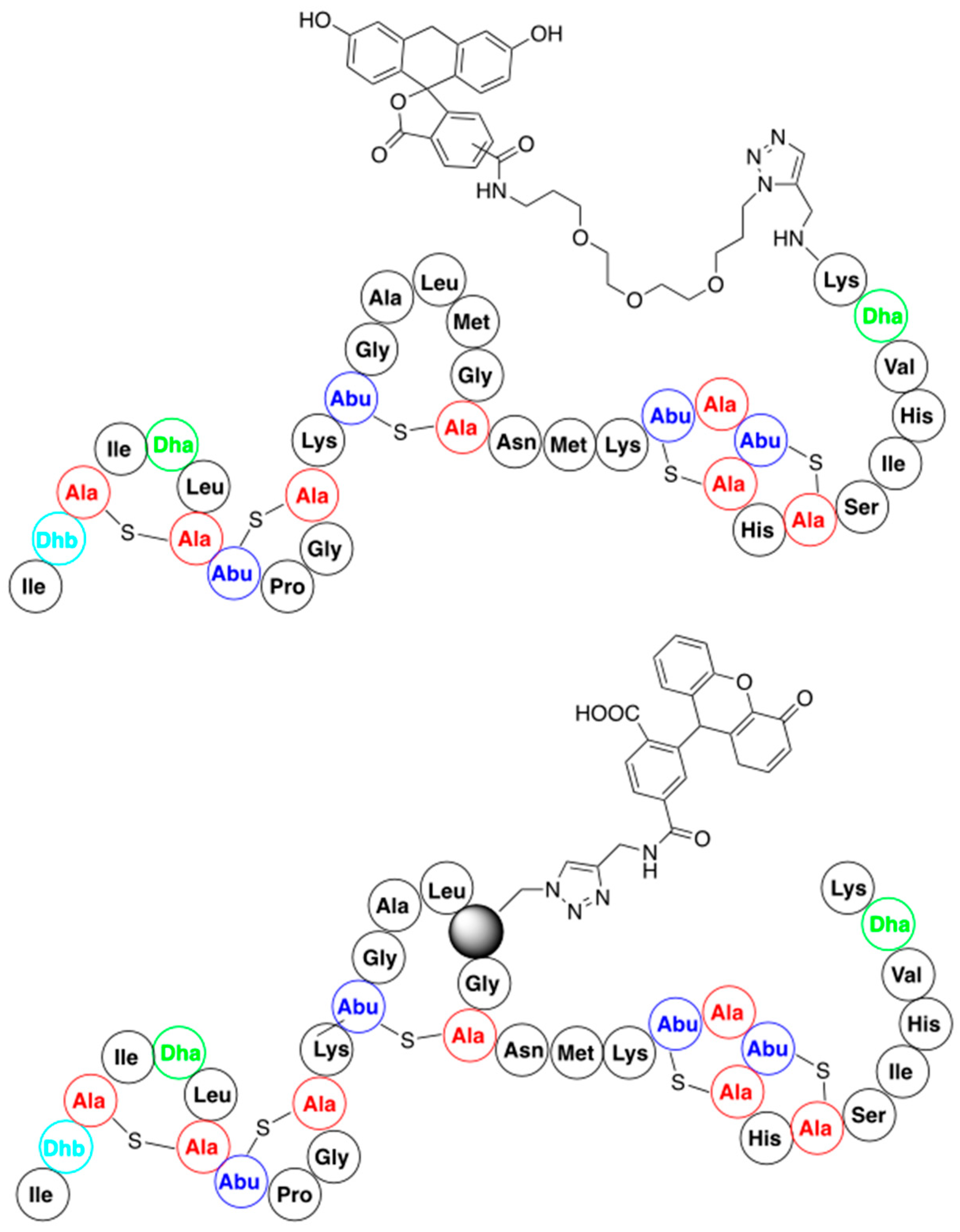 Pharmaceuticals 16 01058 g008 Pharmaceuticals 16 01058 g008