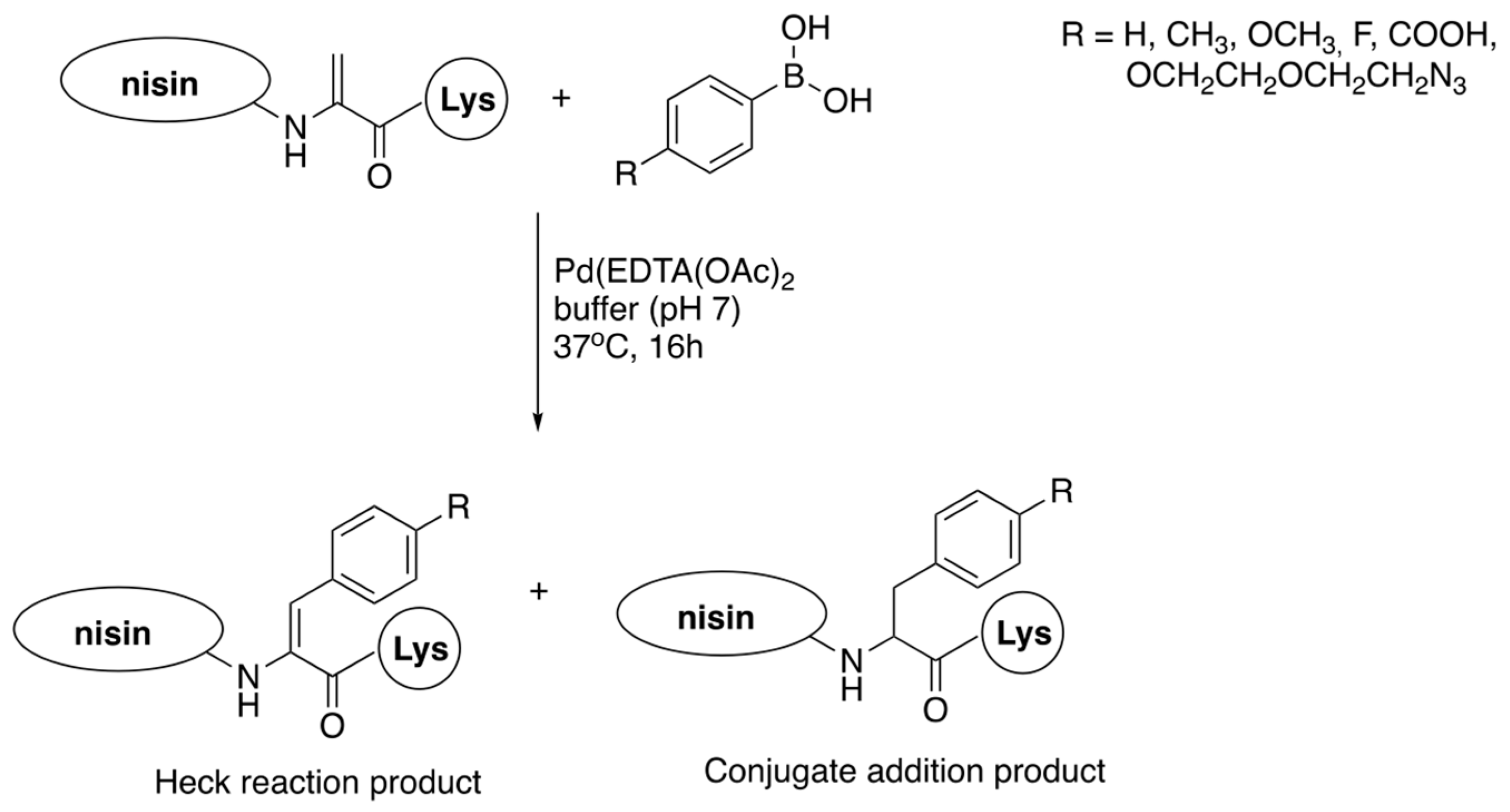 Pharmaceuticals 16 01058 g010 Pharmaceuticals 16 01058 g010