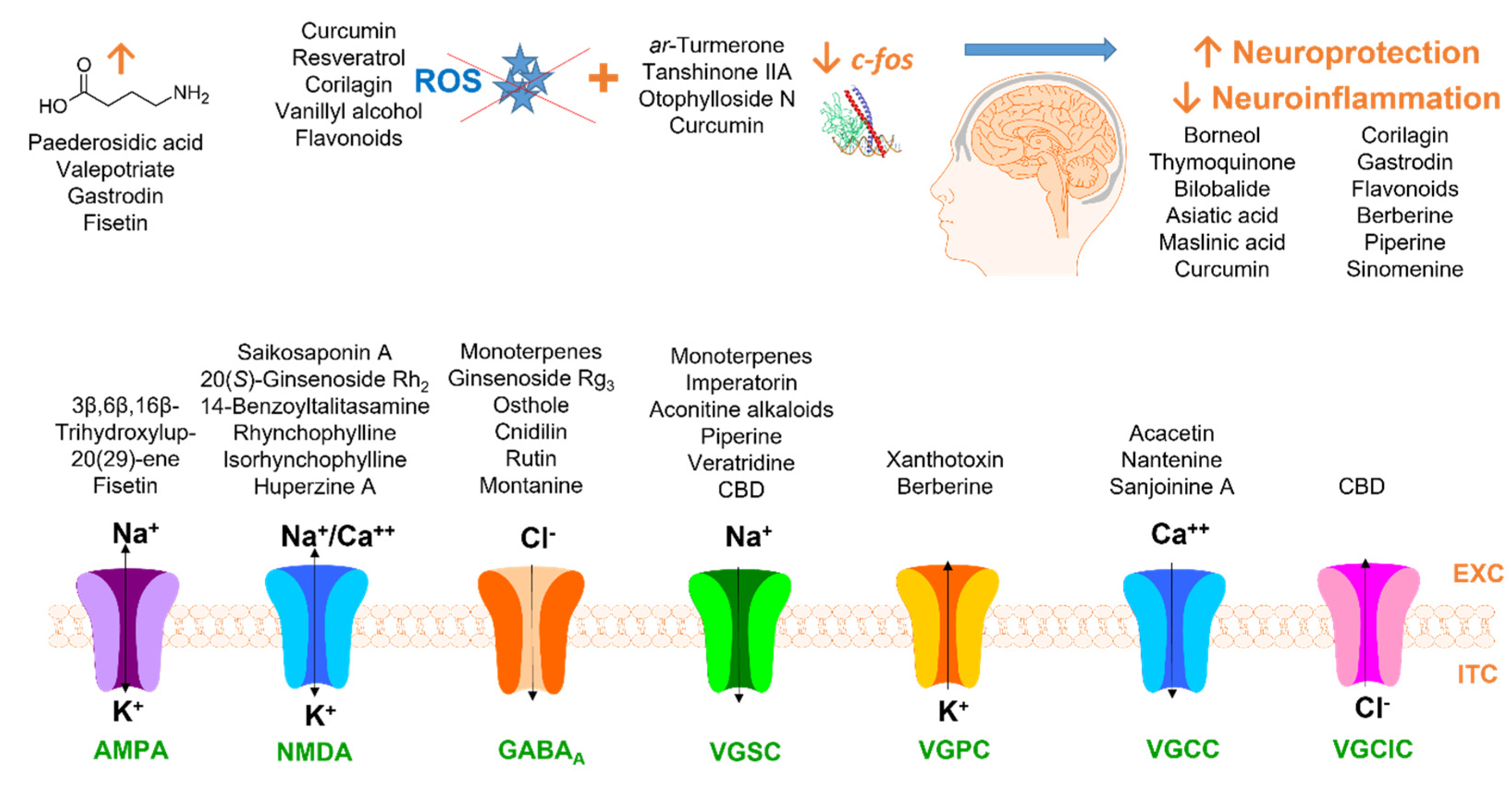 Pharmaceuticals 16 01061 g002
