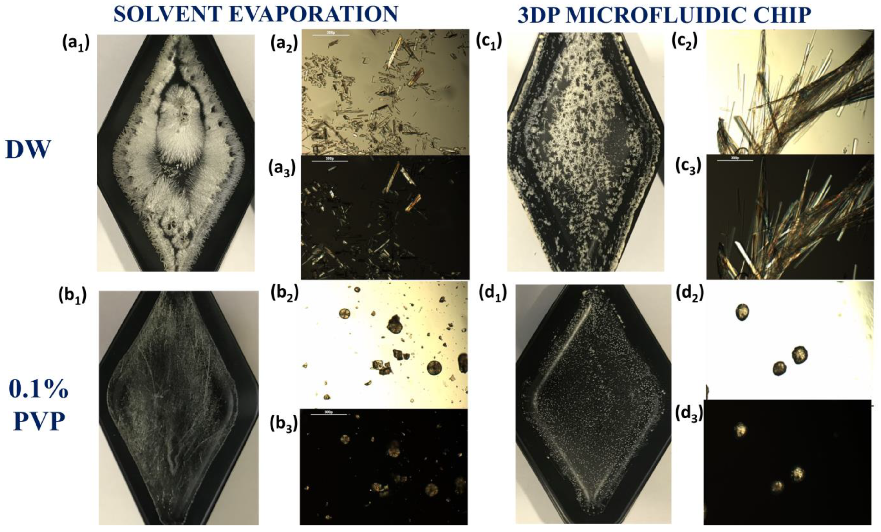 Pharmaceuticals 16 01064 g003 Pharmaceuticals 16 01064 g003