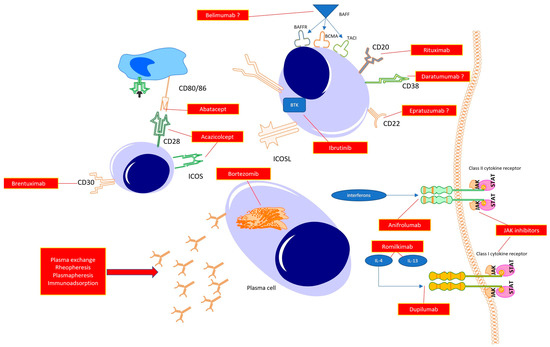 Novel Therapeutic Strategies in the Treatment of Systemic Sclerosis