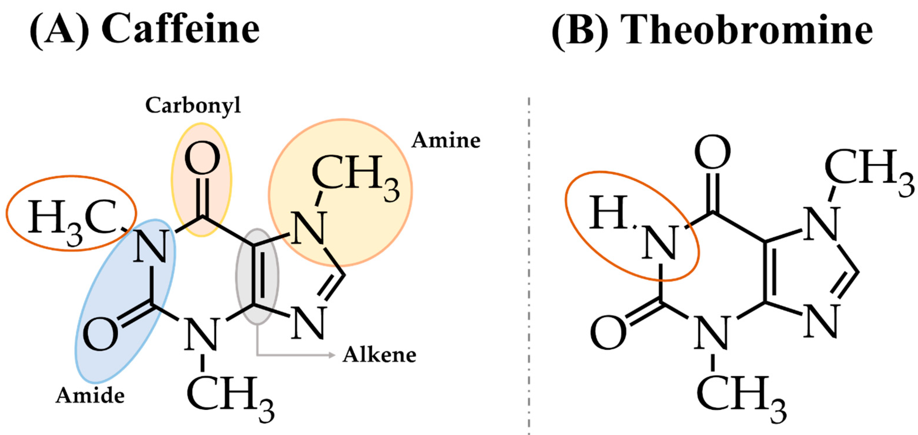 Pharmaceuticals | Free Full-Text | Overview of Caffeine Effects on ...