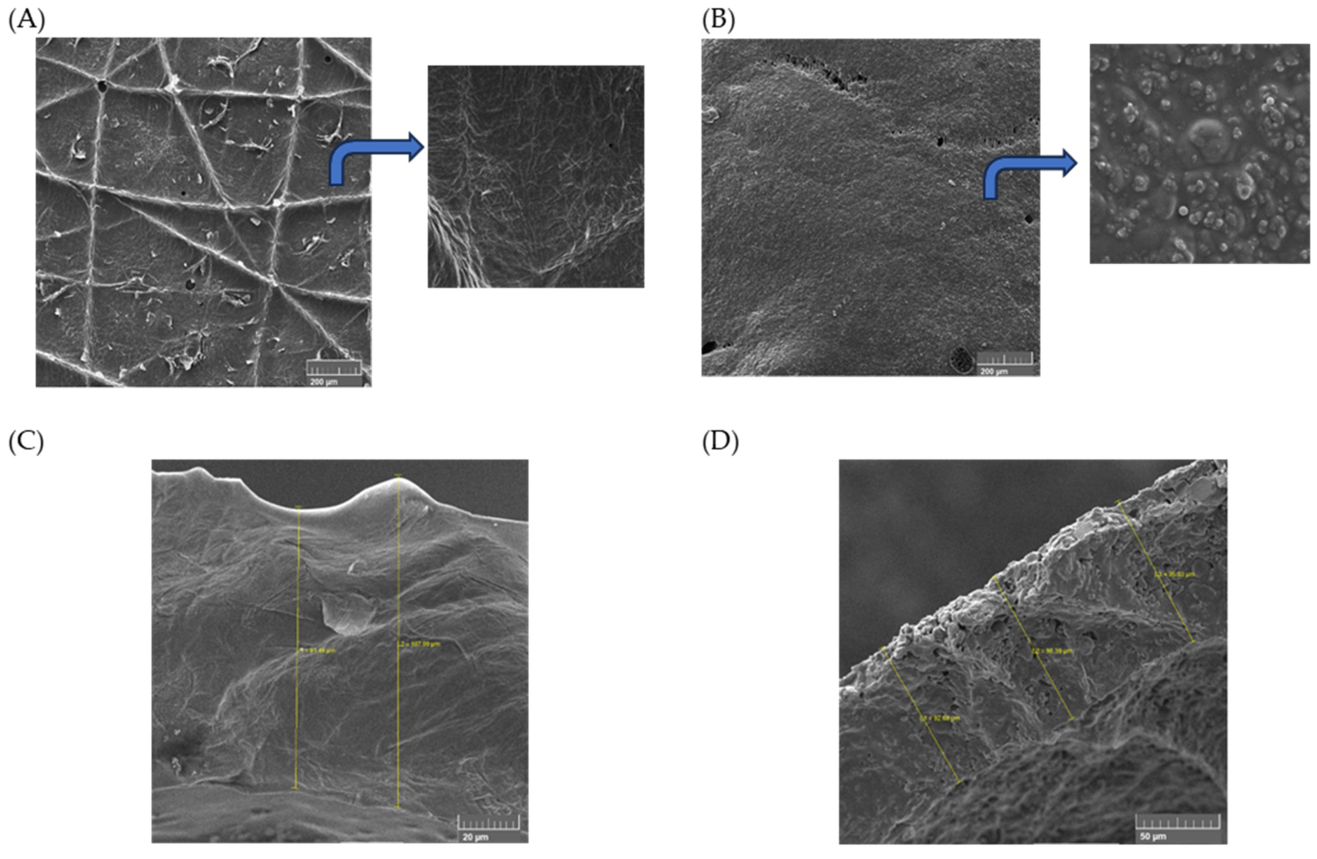 Pharmaceuticals 16 01068 g004