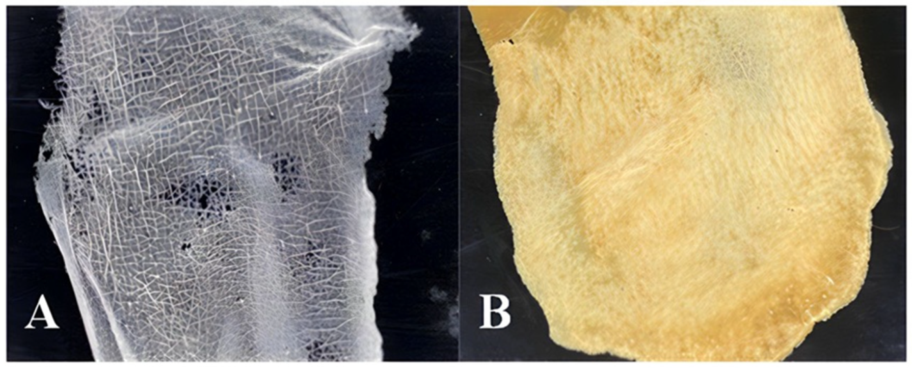 Pharmaceuticals 16 01068 g0a1