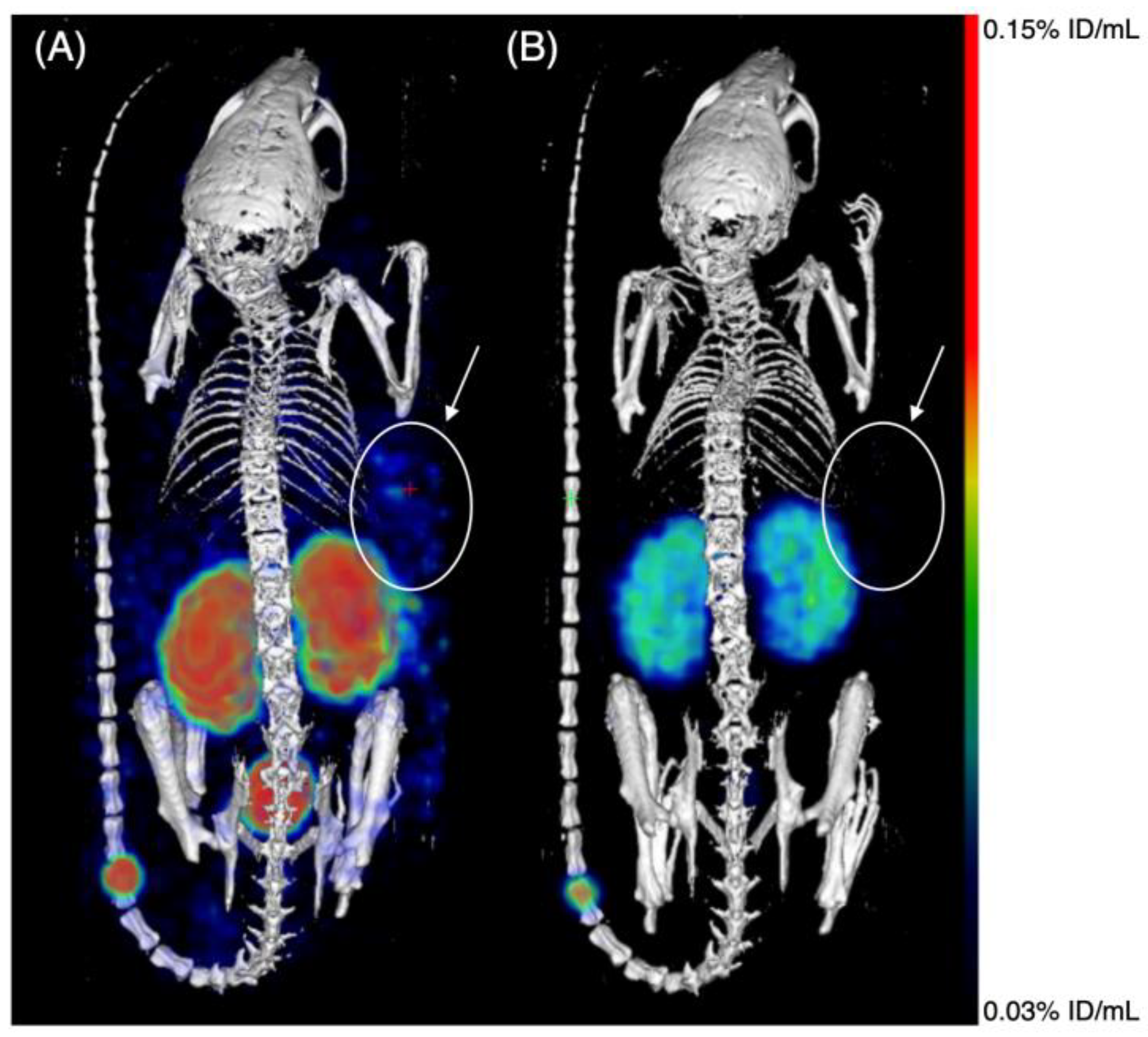 Pharmaceuticals 16 01072 g005 Pharmaceuticals 16 01072 g005