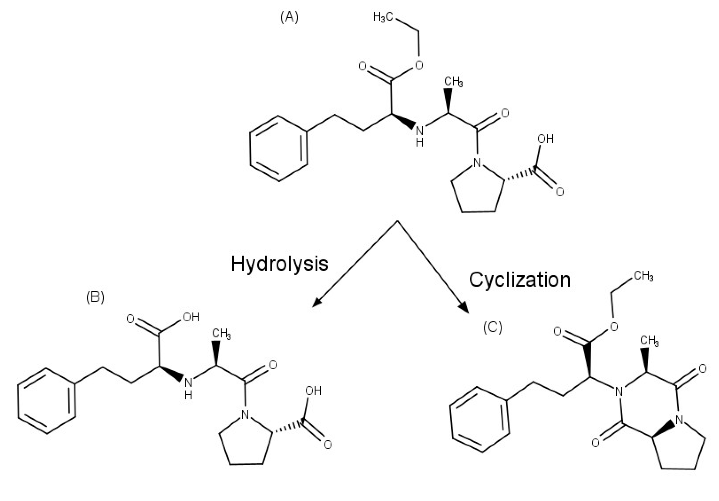 Pharmaceuticals 16 01074 g003