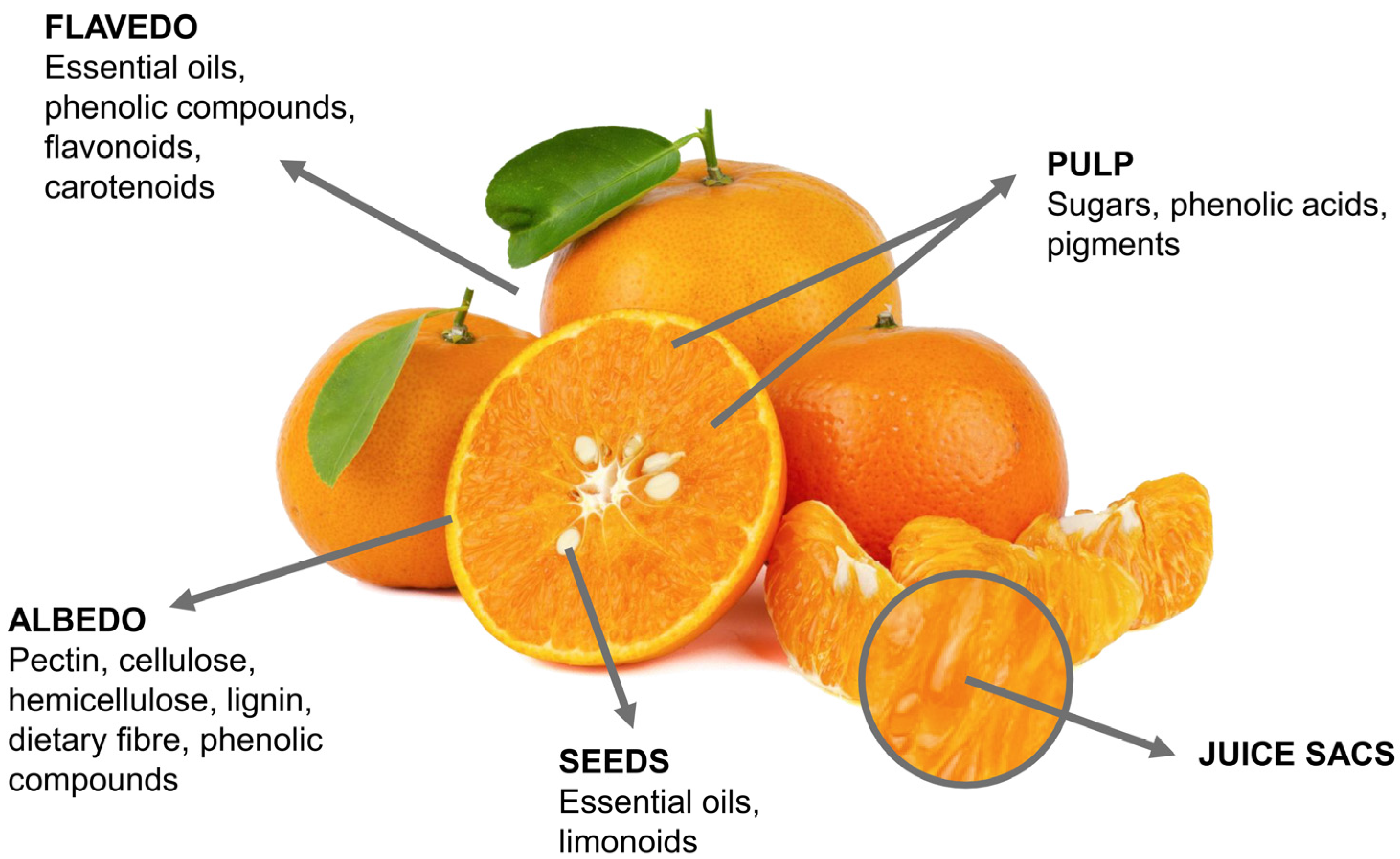 Pharmaceuticals Free FullText Citrus ByProducts as a Valuable