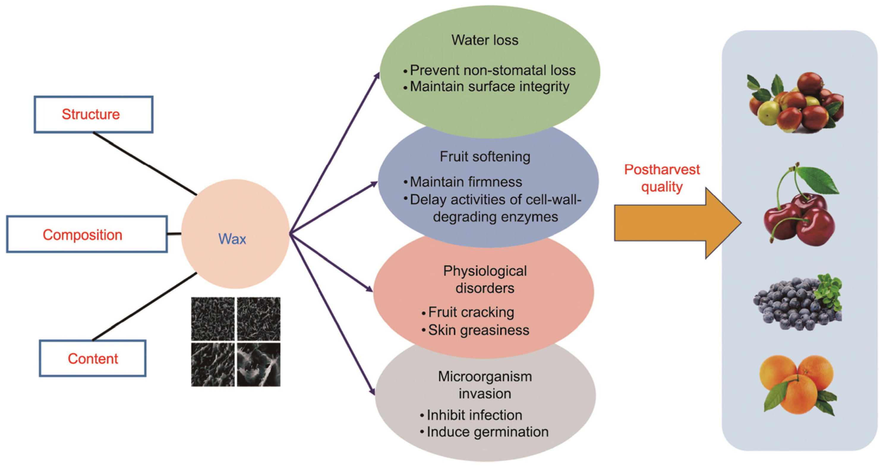 Pharmaceuticals 16 01081 g003