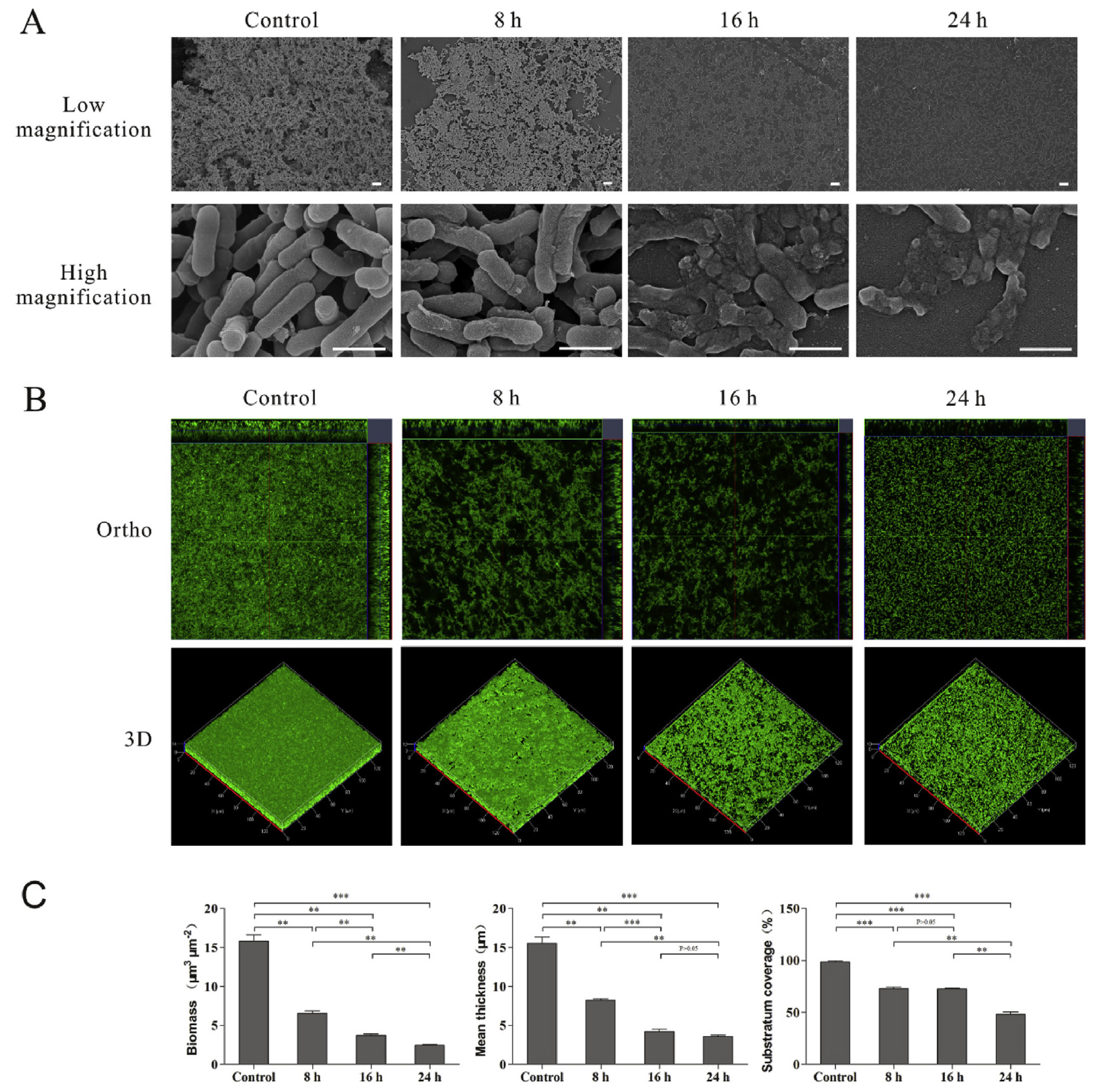 Pharmaceuticals 16 01081 g004