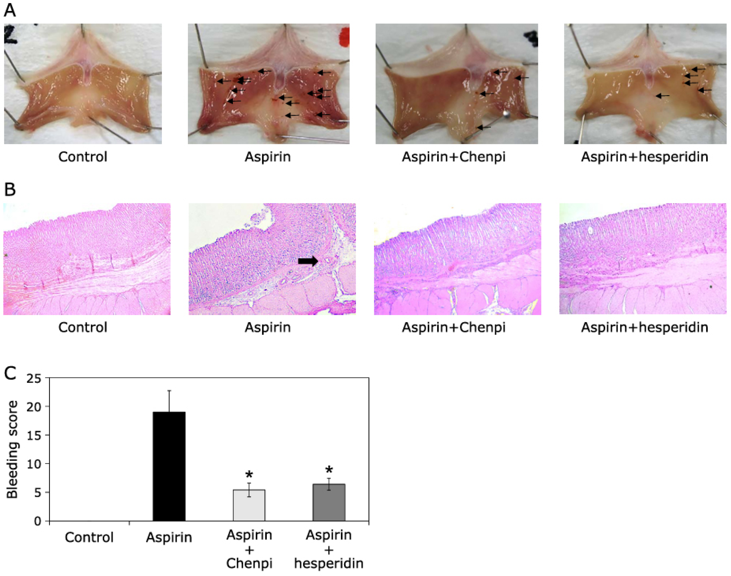 Pharmaceuticals 16 01081 g006