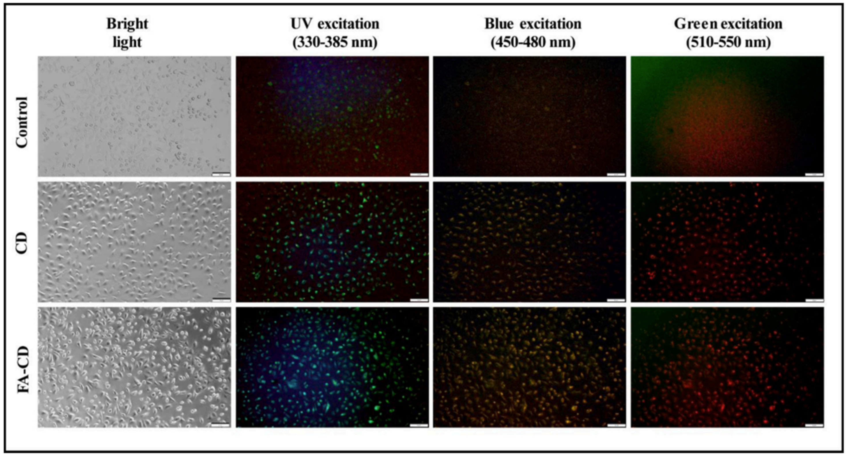 Pharmaceuticals 16 01081 g007