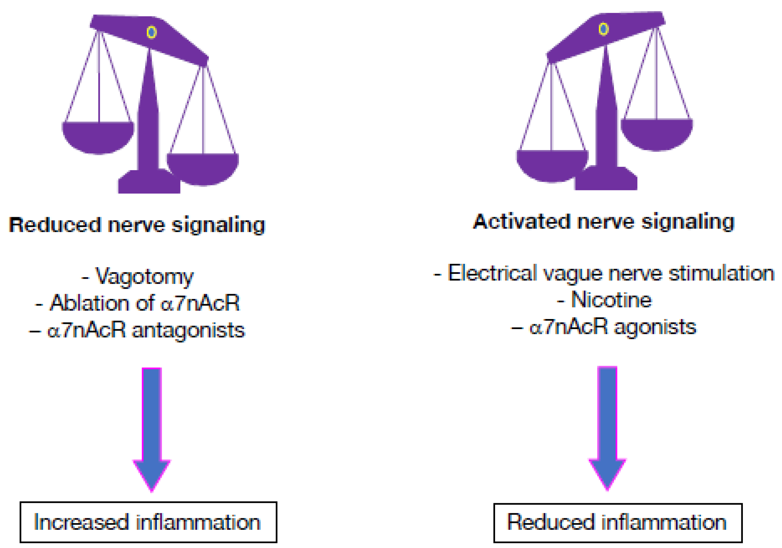 Pharmaceuticals 16 01089 g006