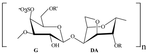 Pharmaceuticals 16 01091 i001 Pharmaceuticals 16 01091 i001