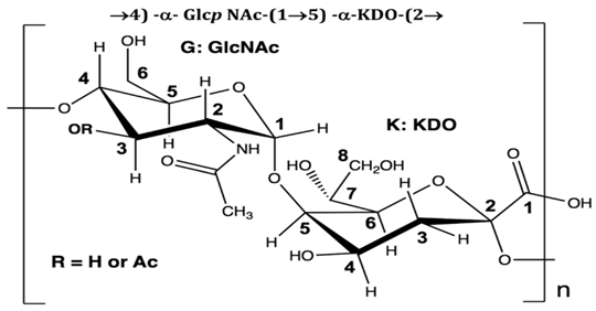 Pharmaceuticals 16 01091 i005 Pharmaceuticals 16 01091 i005