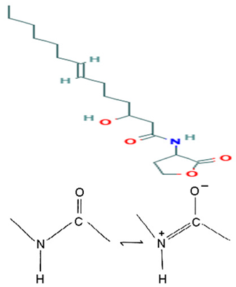 Pharmaceuticals 16 01091 i016 Pharmaceuticals 16 01091 i016